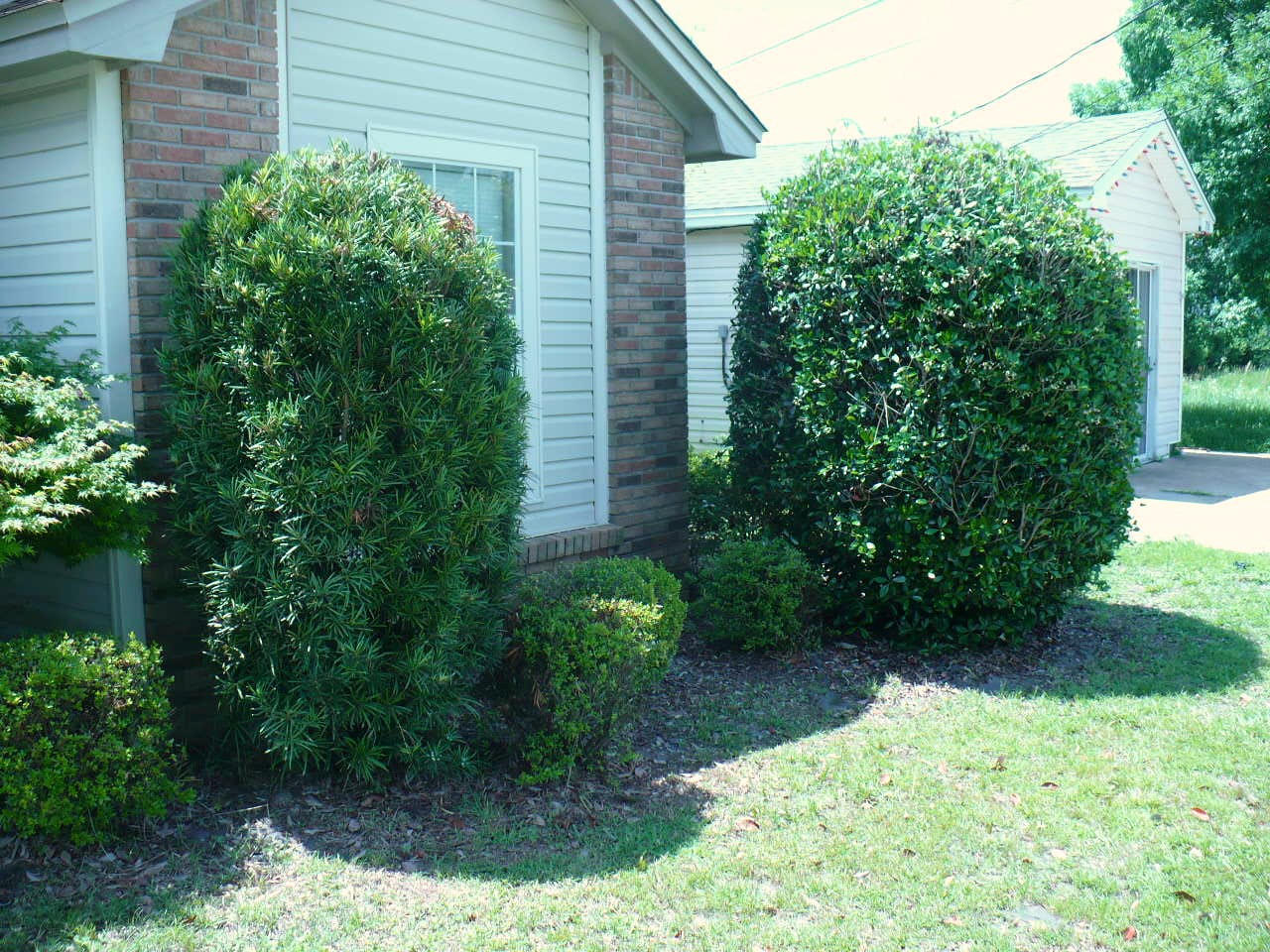 CARDINAL ESTATES - Residential