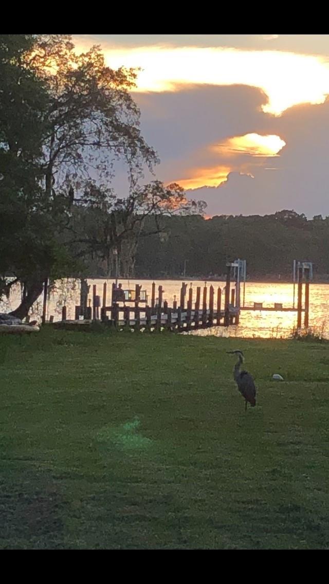 NICEVILLE - Residential