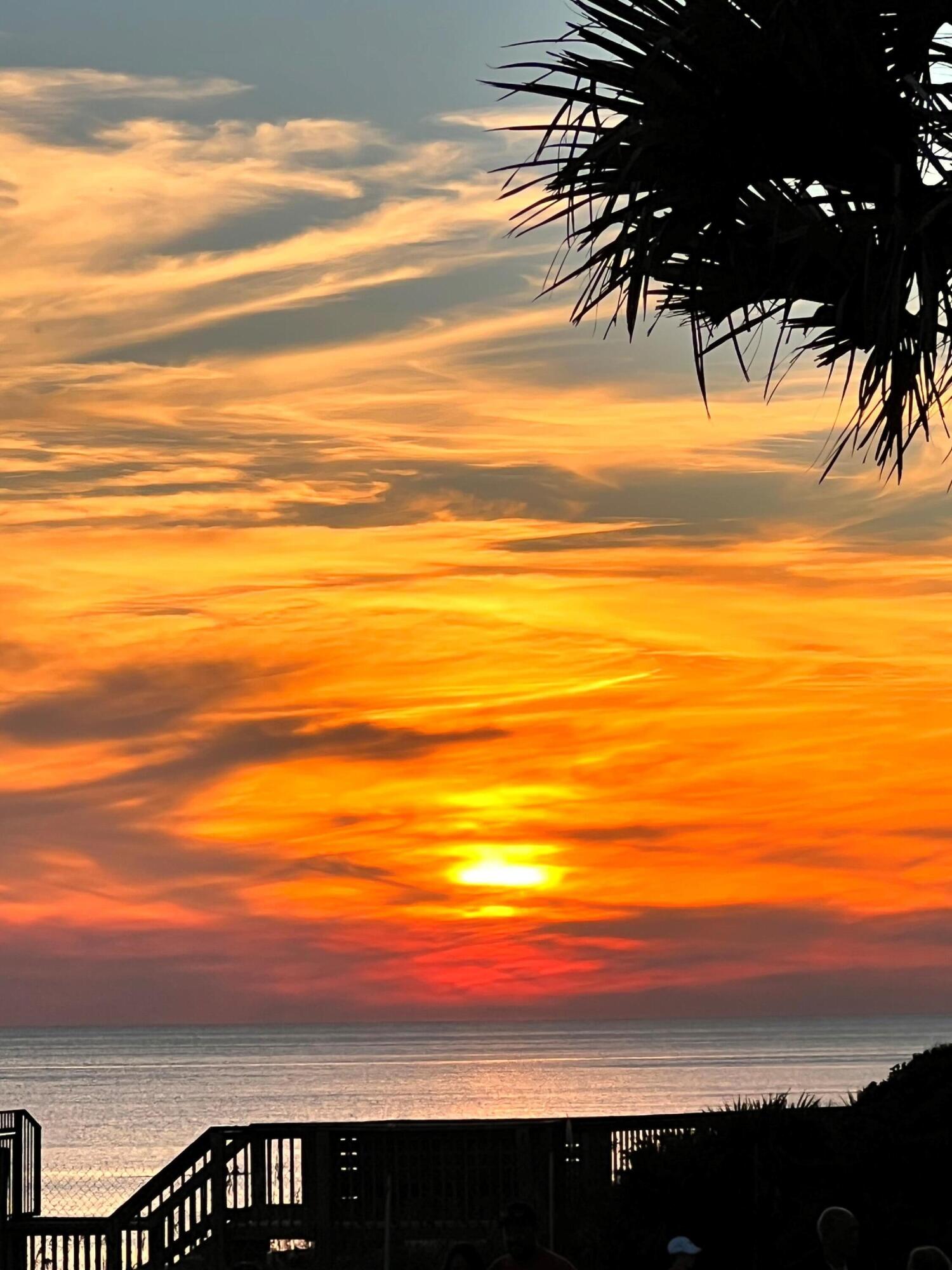 WATER OAKS T/H - Residential