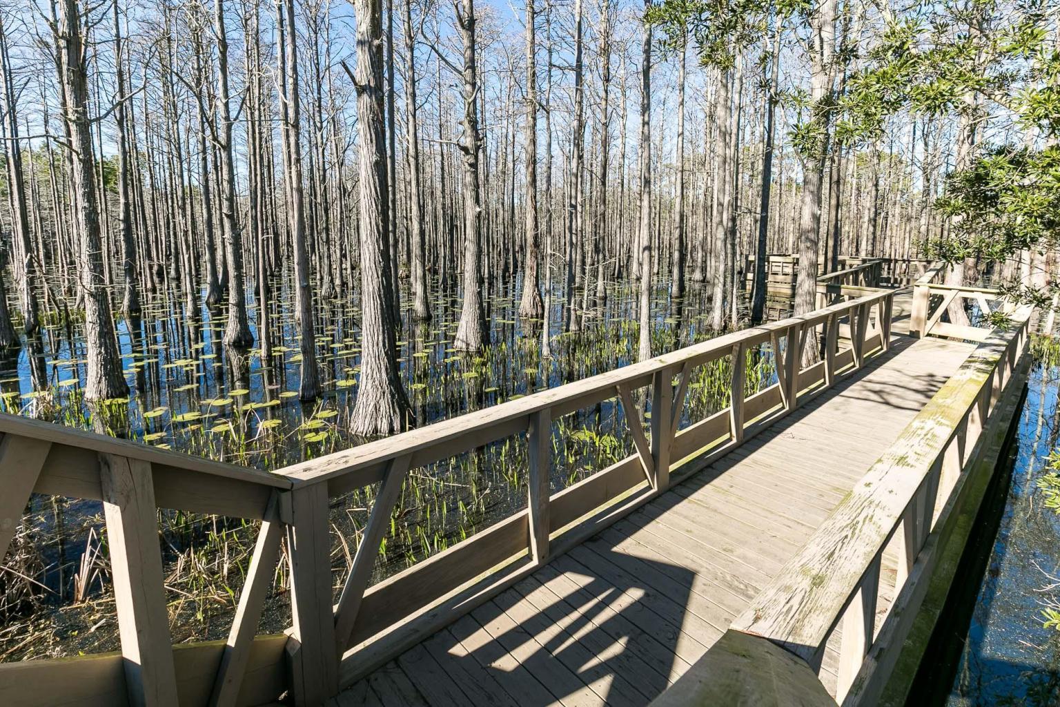 Cypress Dunes - Land