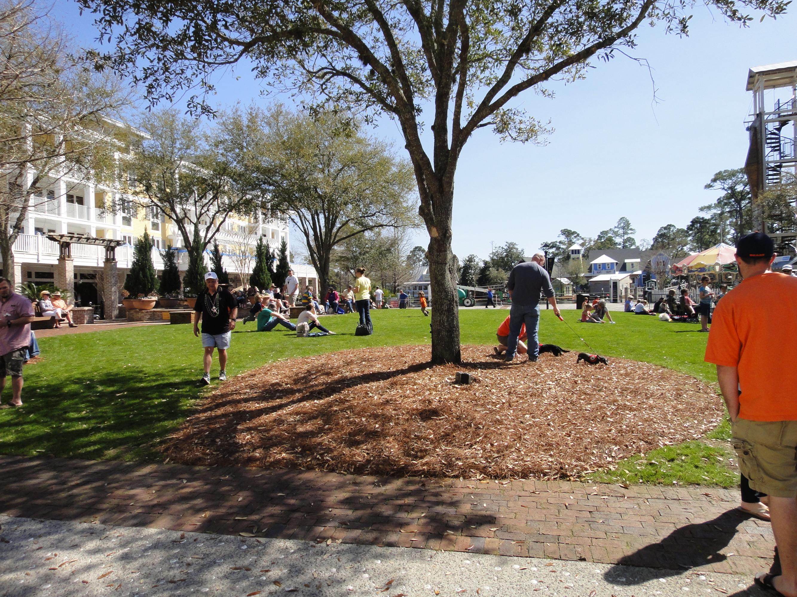 Cypress Dunes - Land