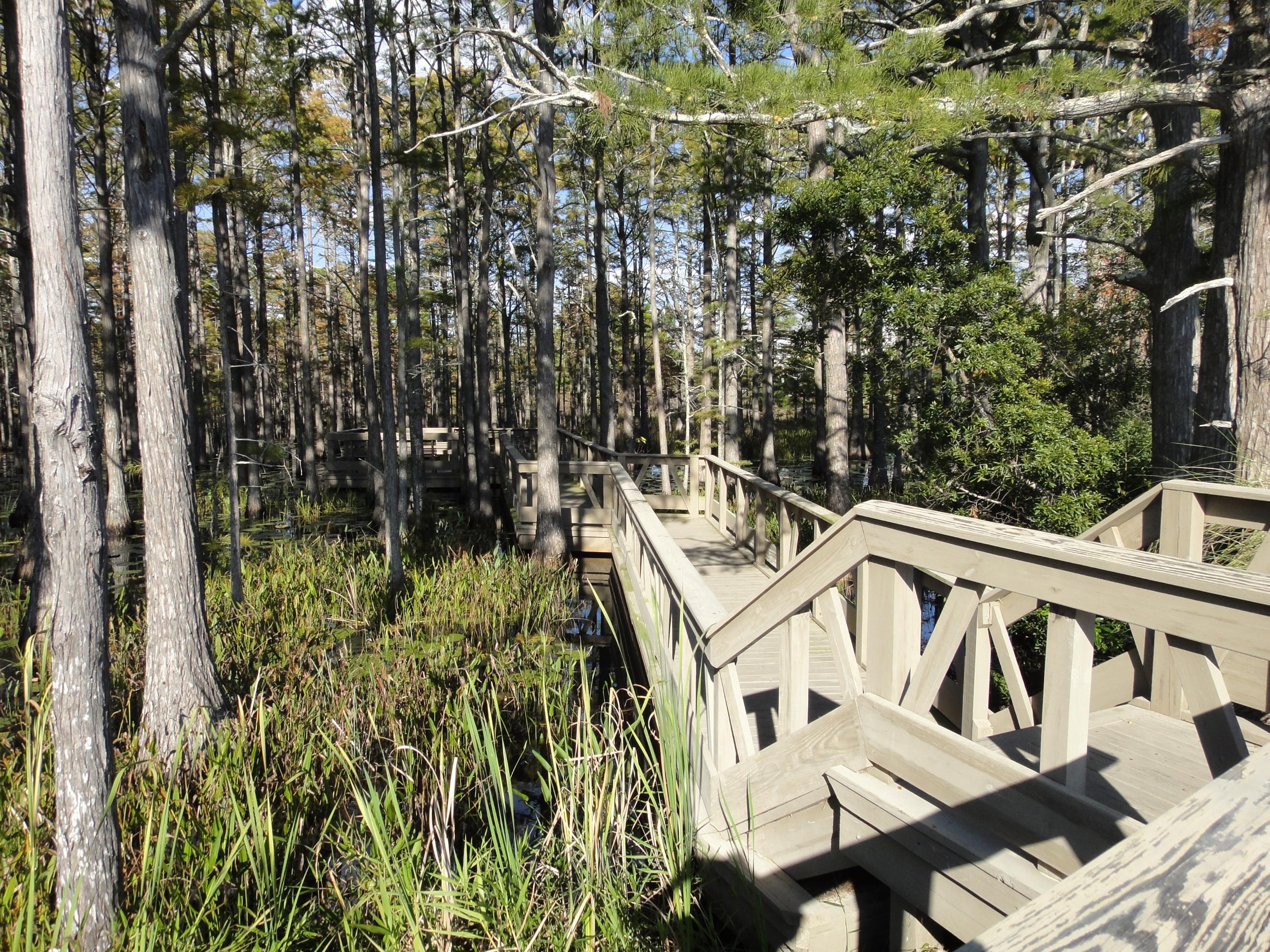 Cypress Dunes - Land