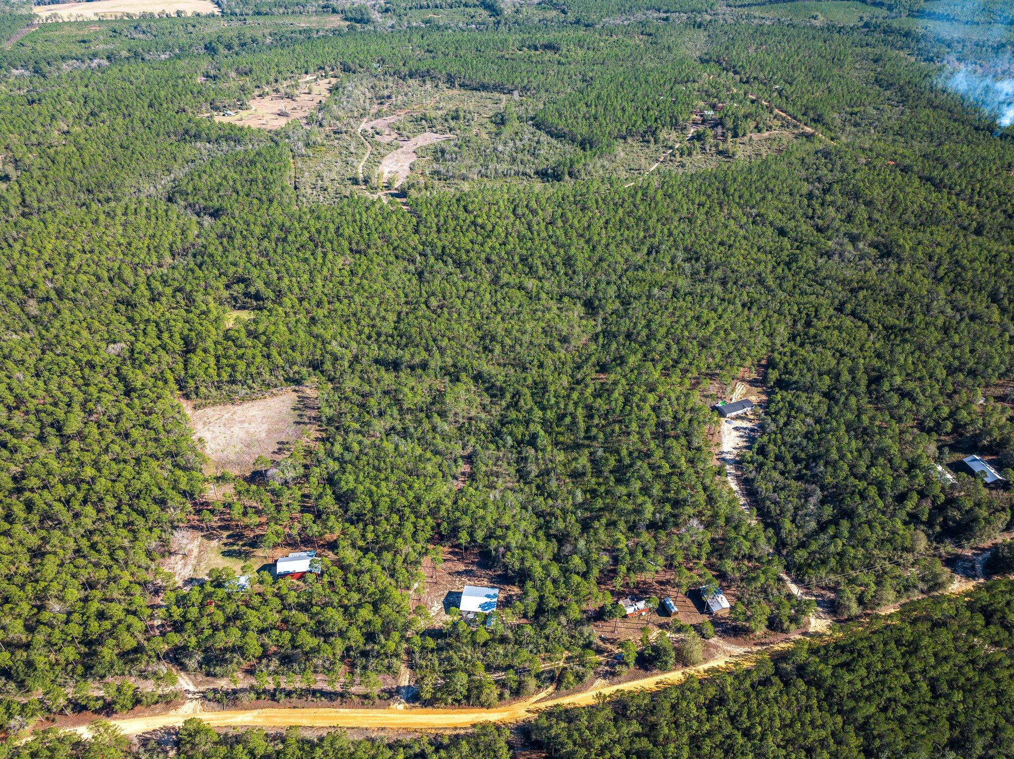 WALTON PLANTATION - Residential