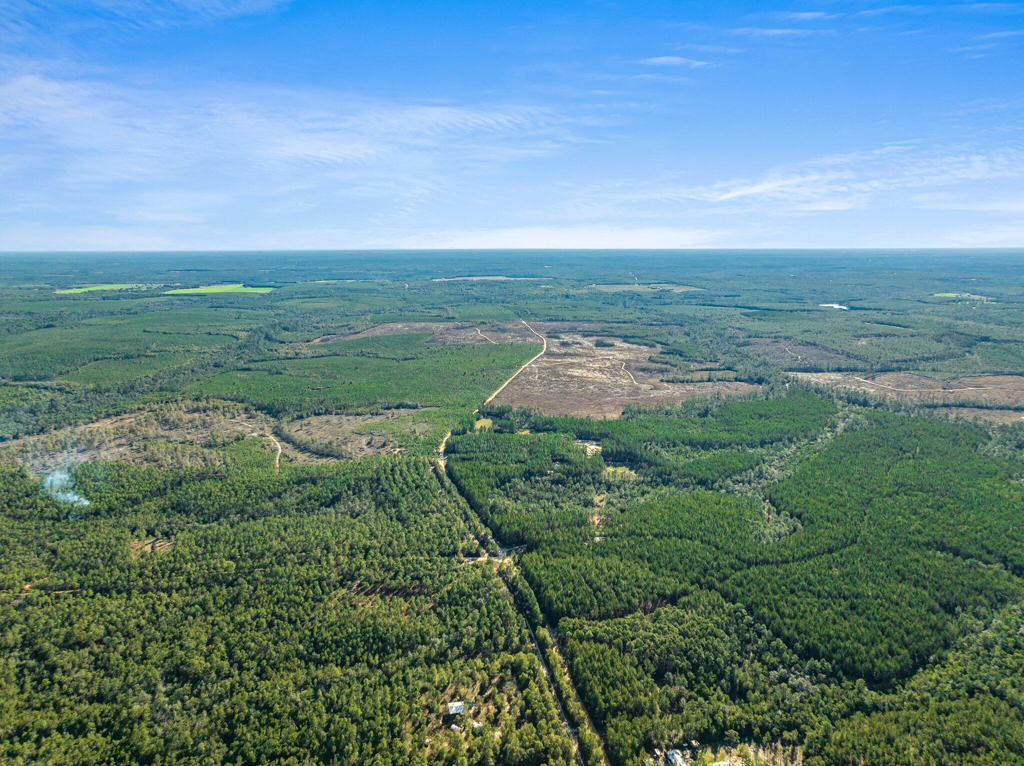WALTON PLANTATION - Residential
