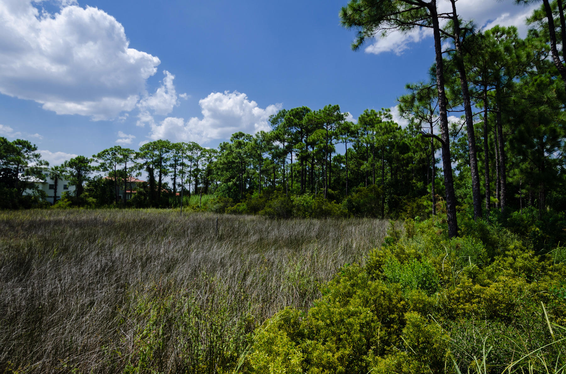 METES & BOUNDS - Land