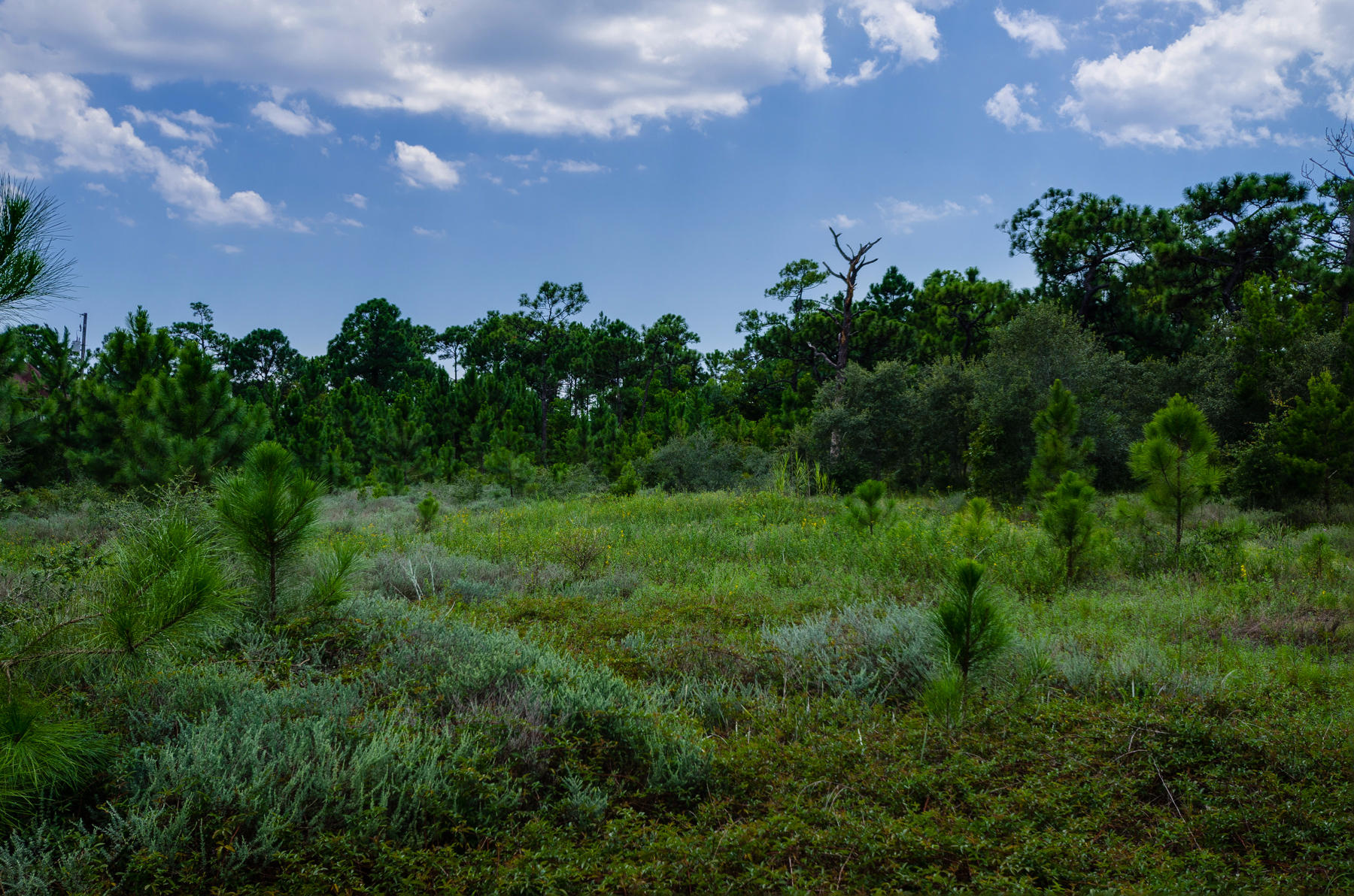 METES & BOUNDS - Land