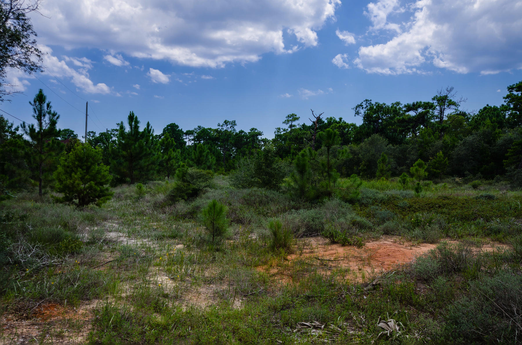 METES & BOUNDS - Land