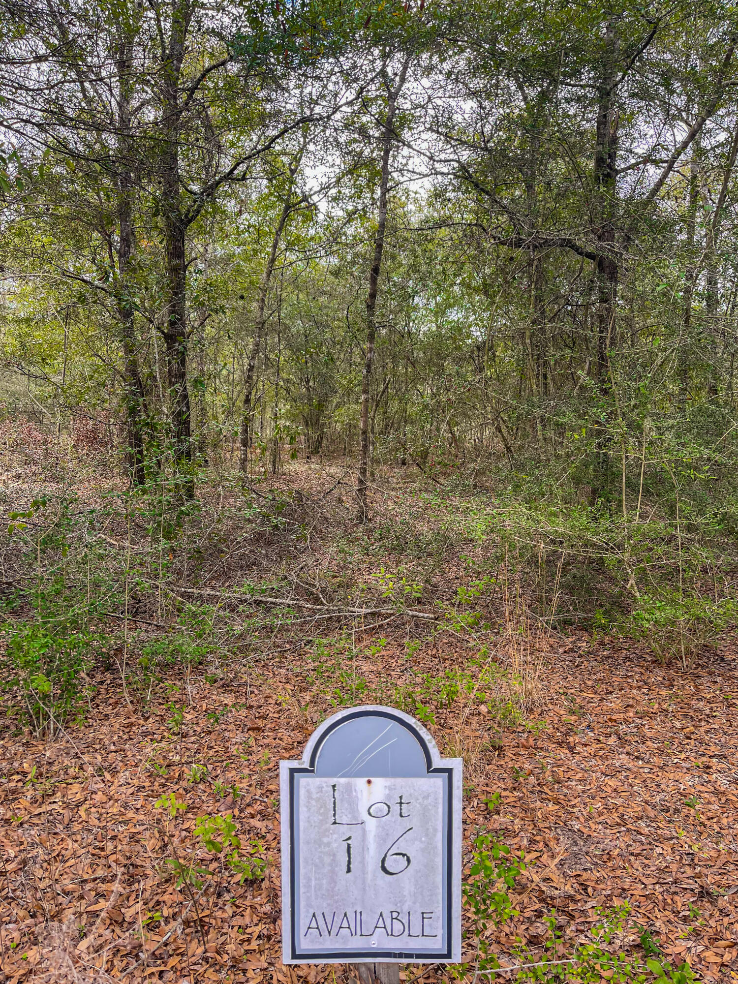 Juniper Trace - Land