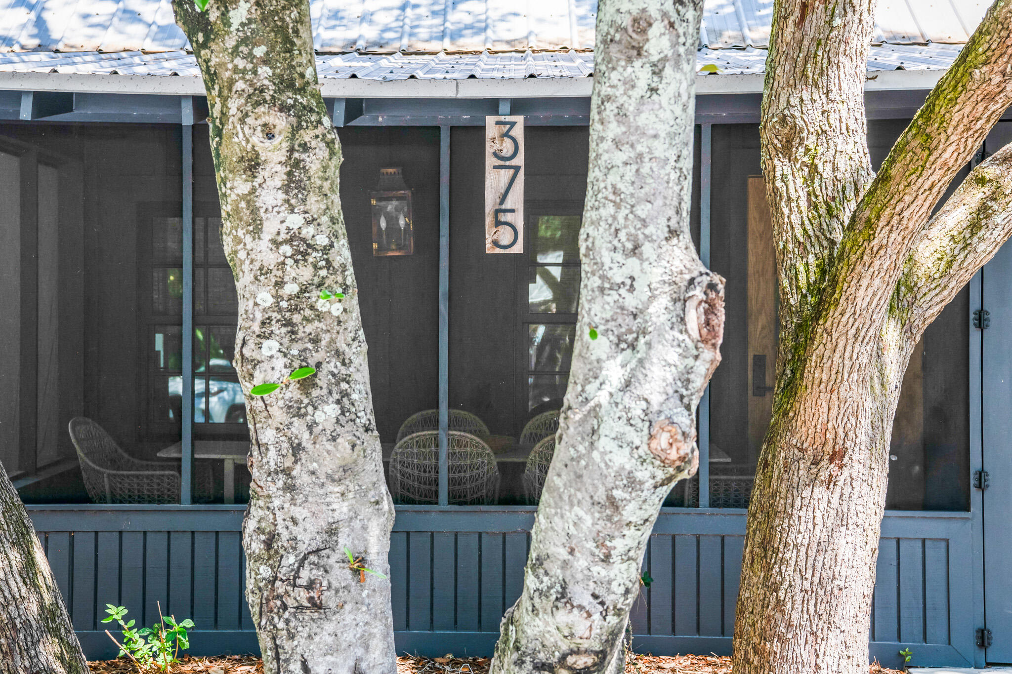 375 Defuniak Street
