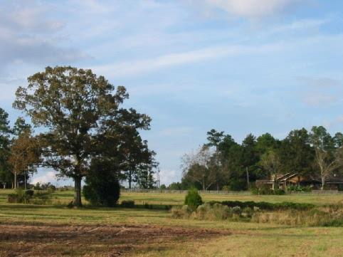 Metes and Bounds - Residential