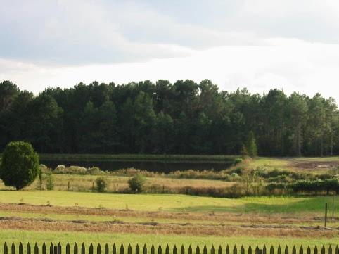 Metes and Bounds - Residential