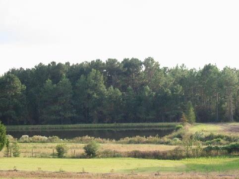 Metes and Bounds - Residential