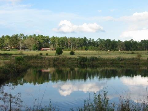 Metes and Bounds - Residential