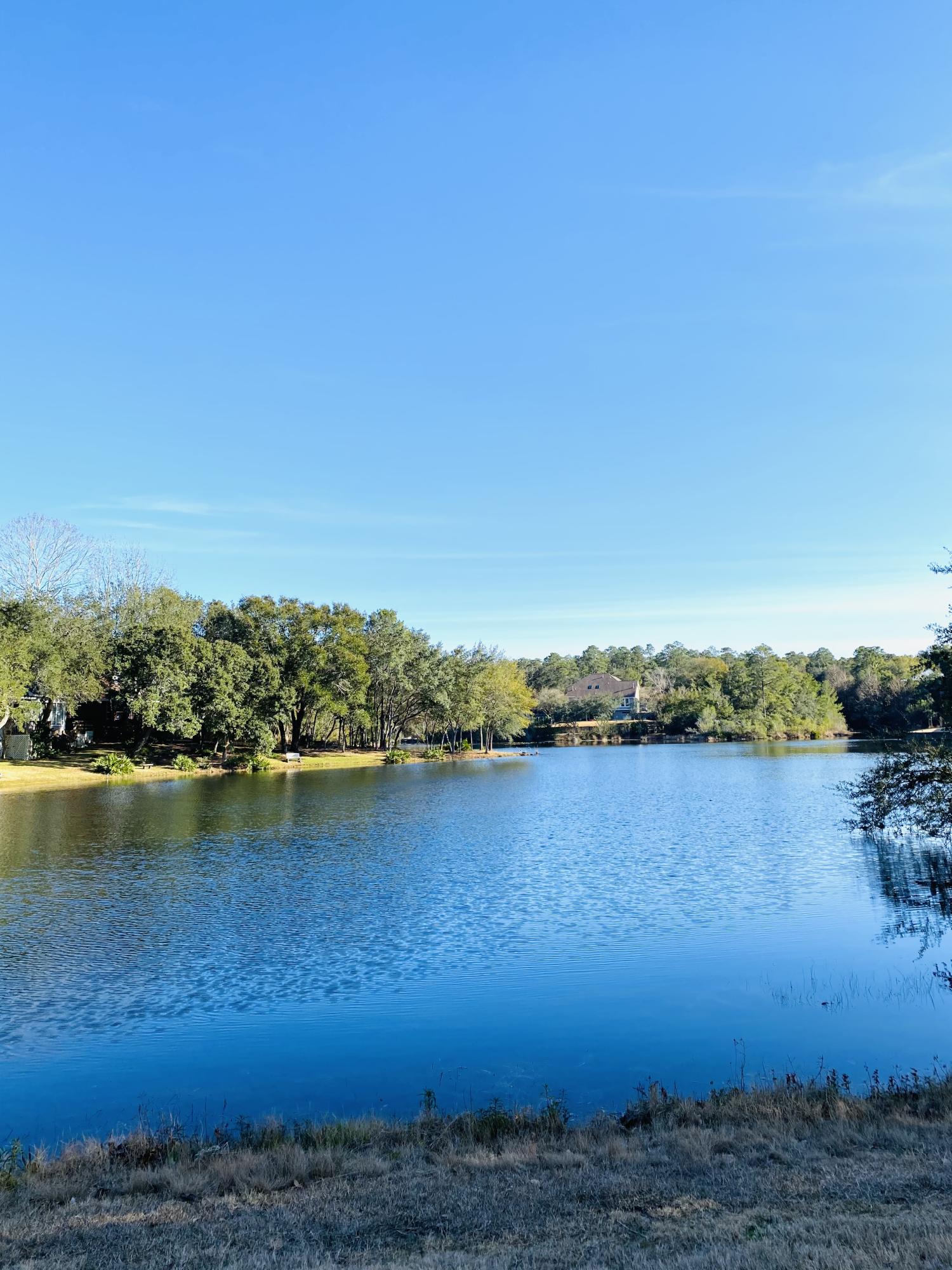 BOLTONS LANDING - Residential