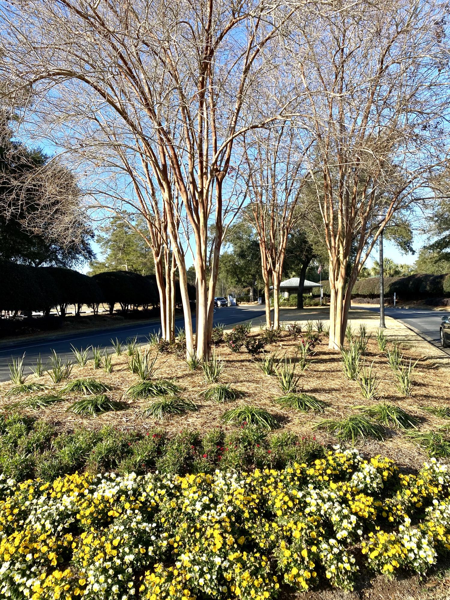 BOLTONS LANDING - Residential