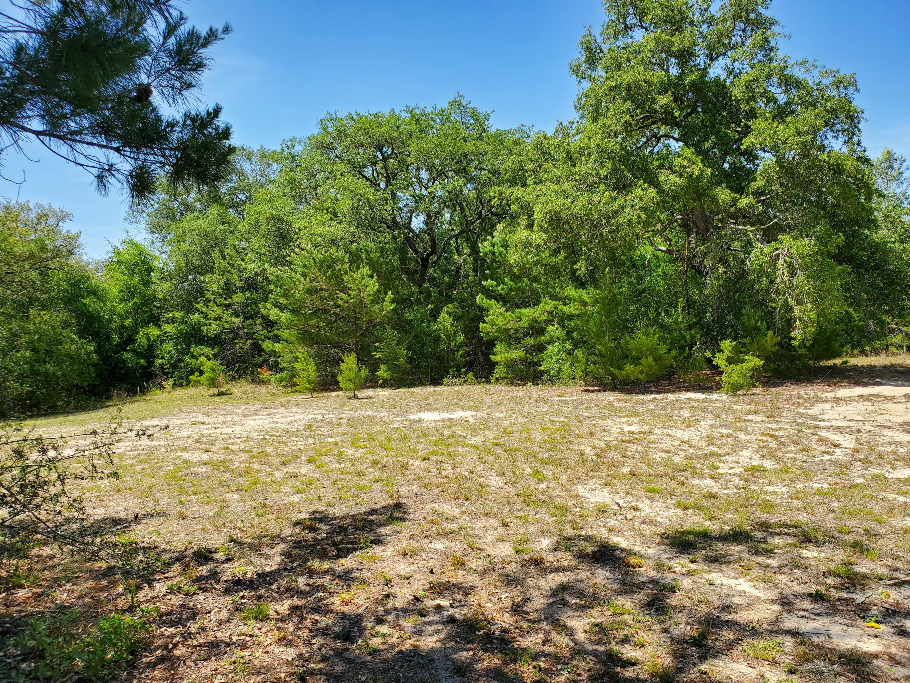 MOSSY HEAD S/D - Land