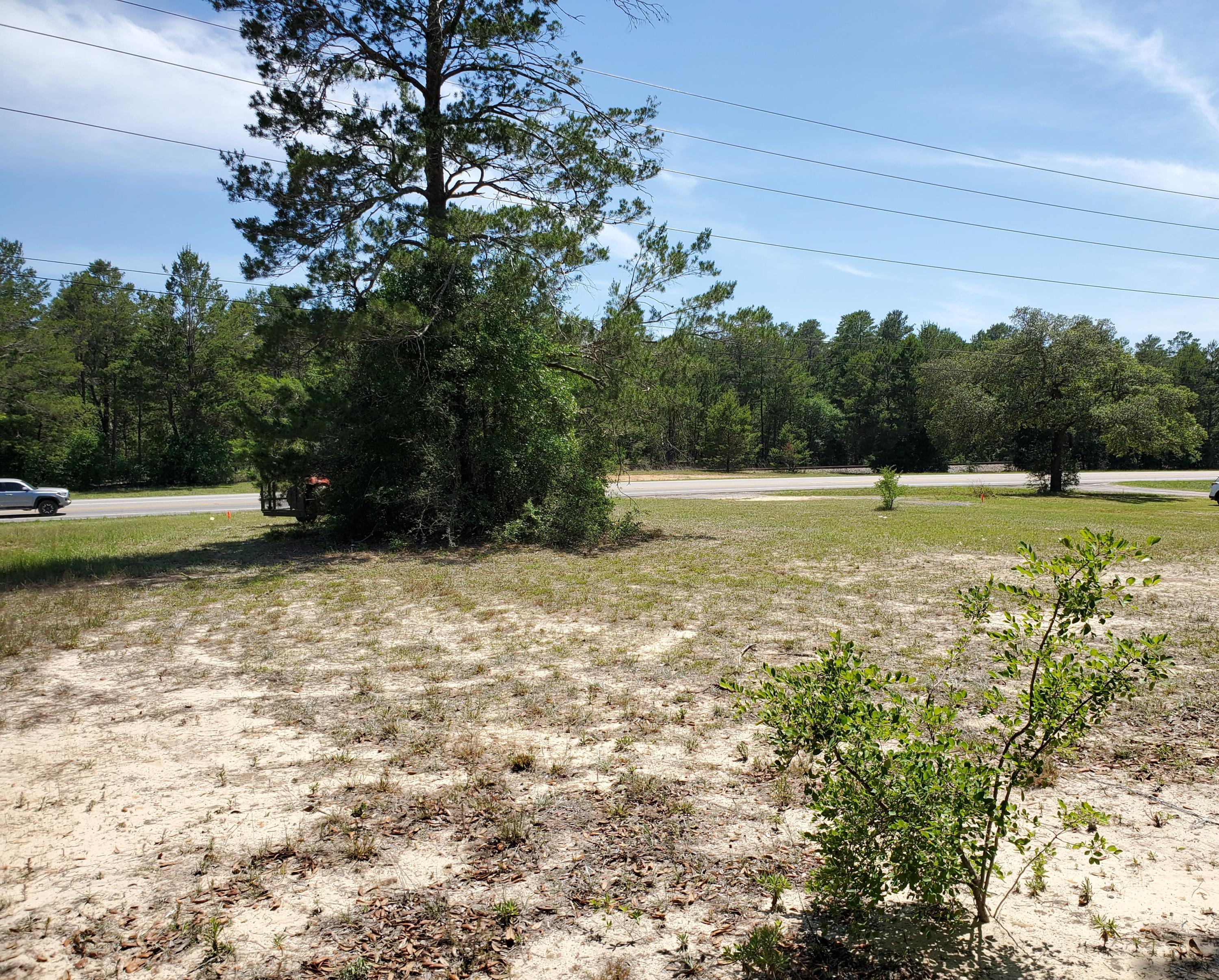 MOSSY HEAD S/D - Land