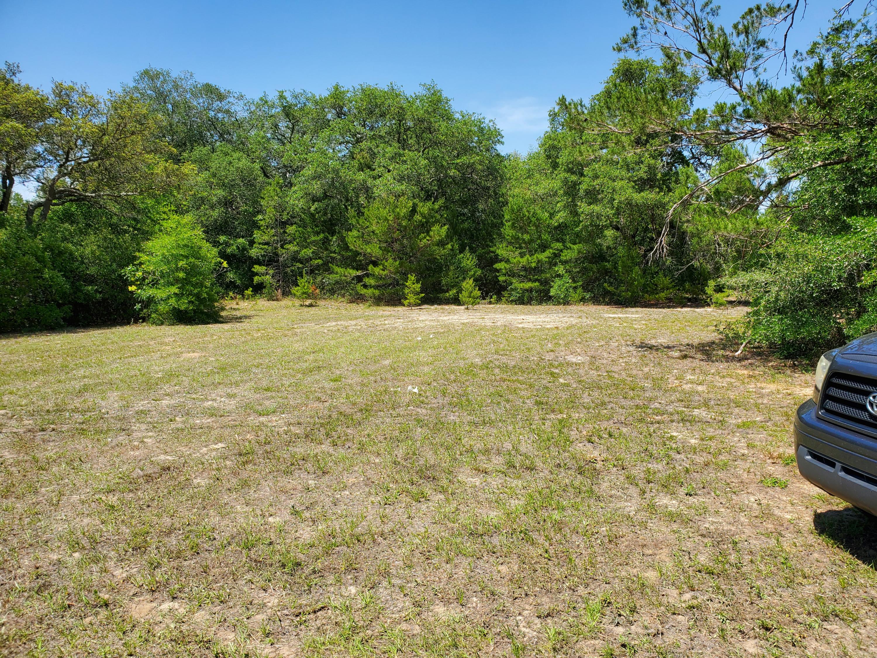 MOSSY HEAD S/D - Land