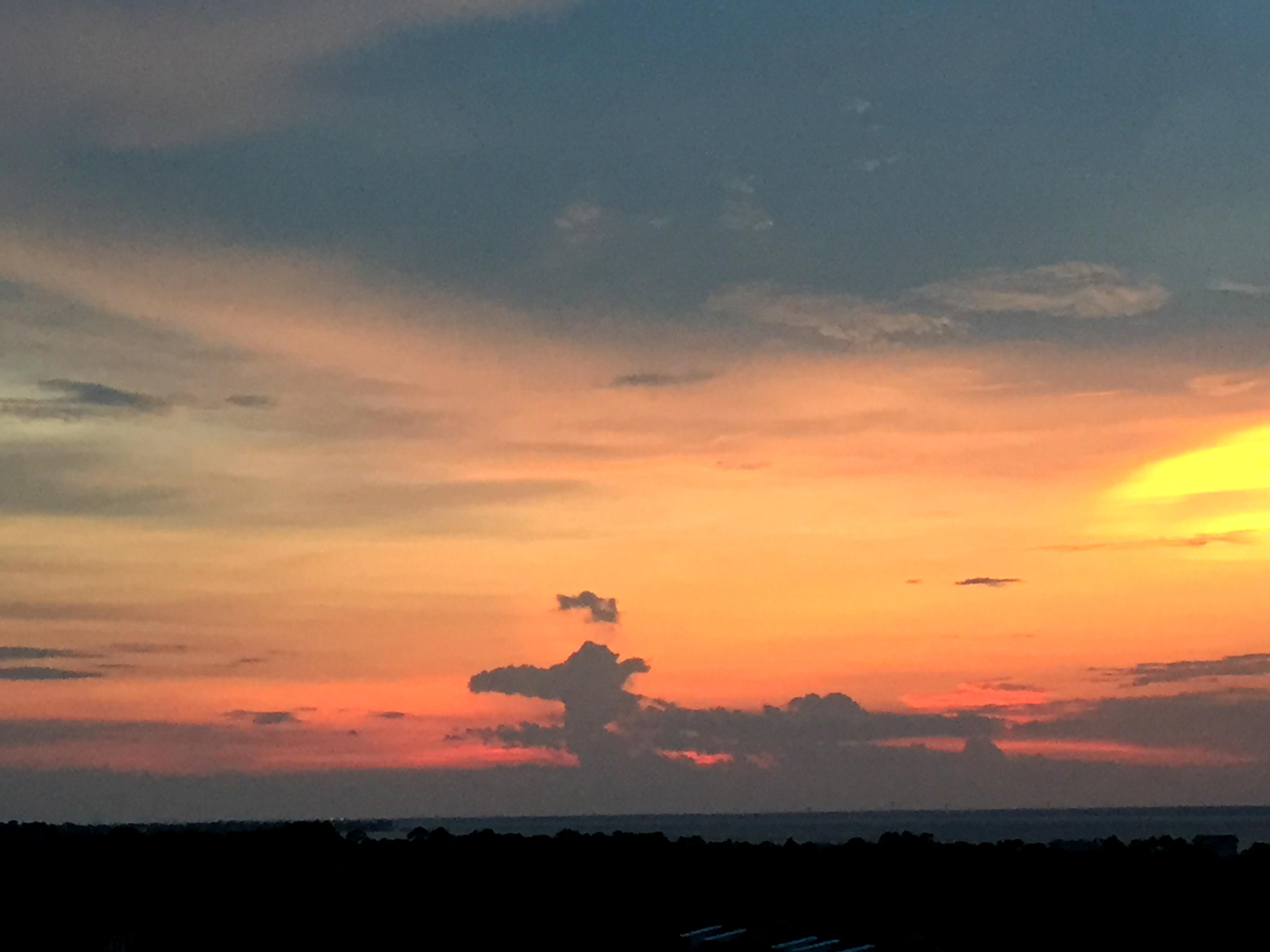 ONE WATER PLACE - Residential