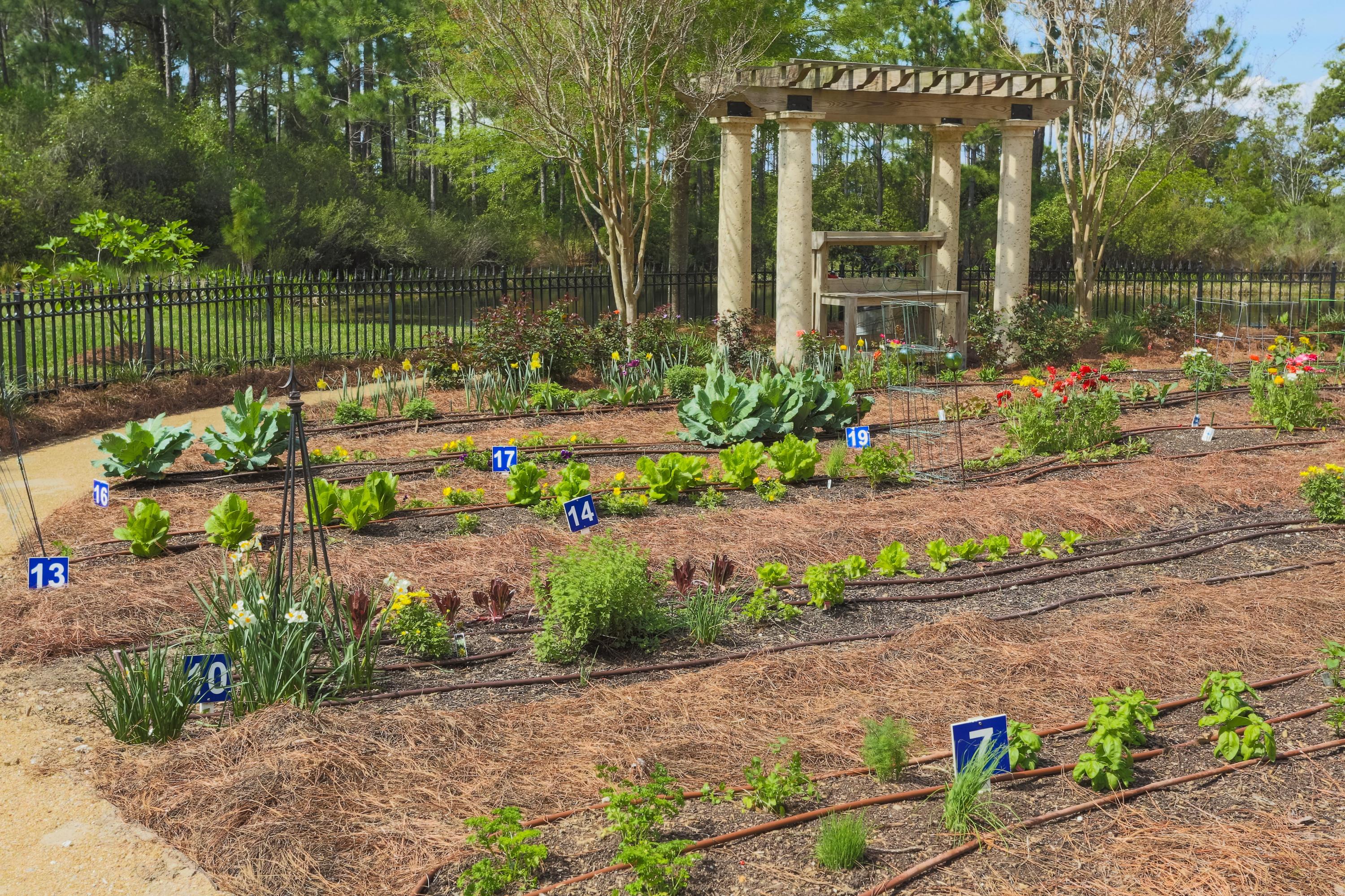 ONE WATER PLACE - Residential