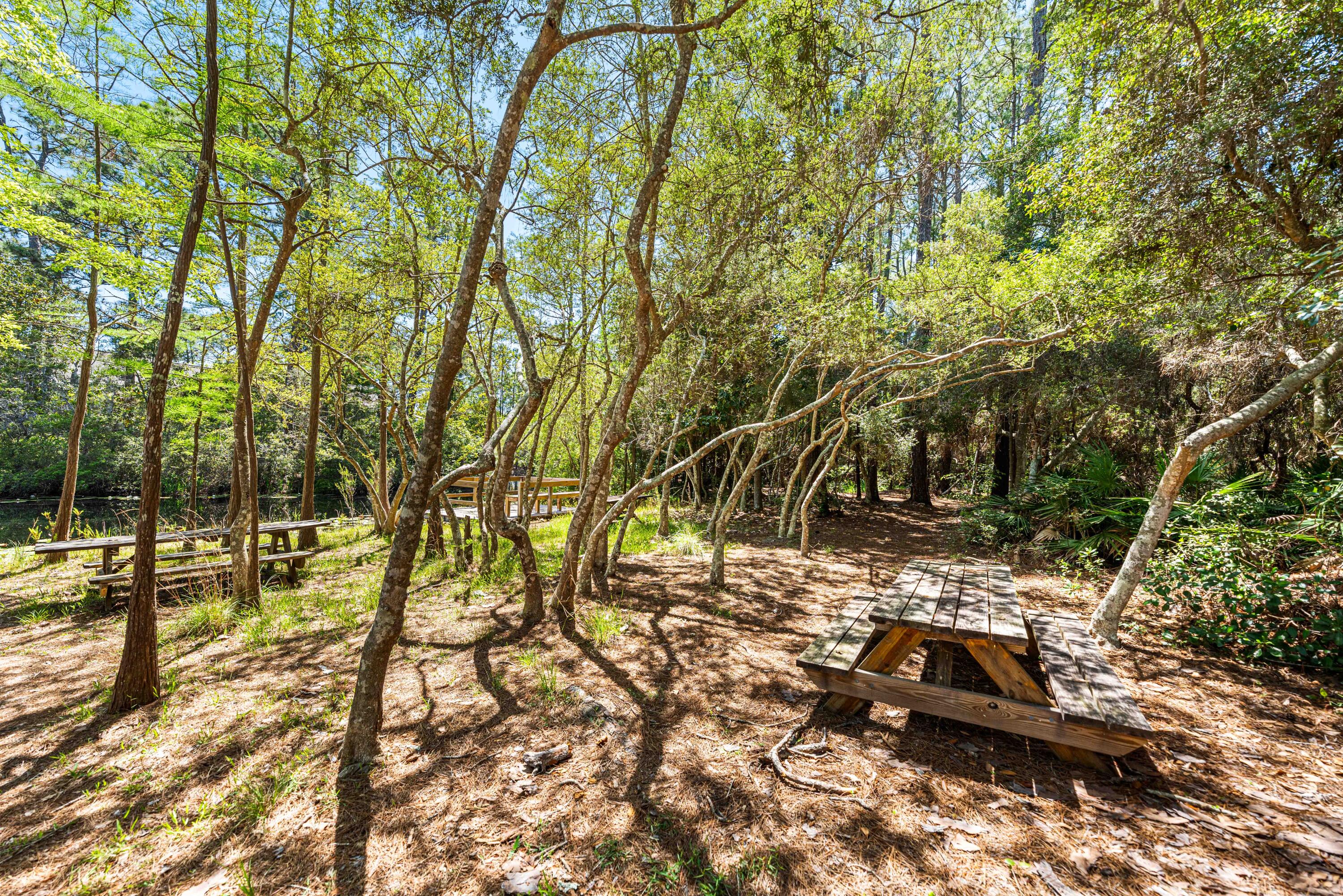 CASSINE GARDENS T/H PH 4 - Residential