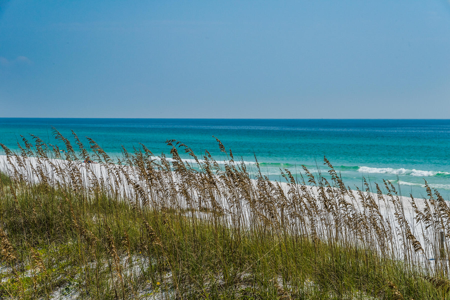 THE PALMS OF DESTIN - Residential