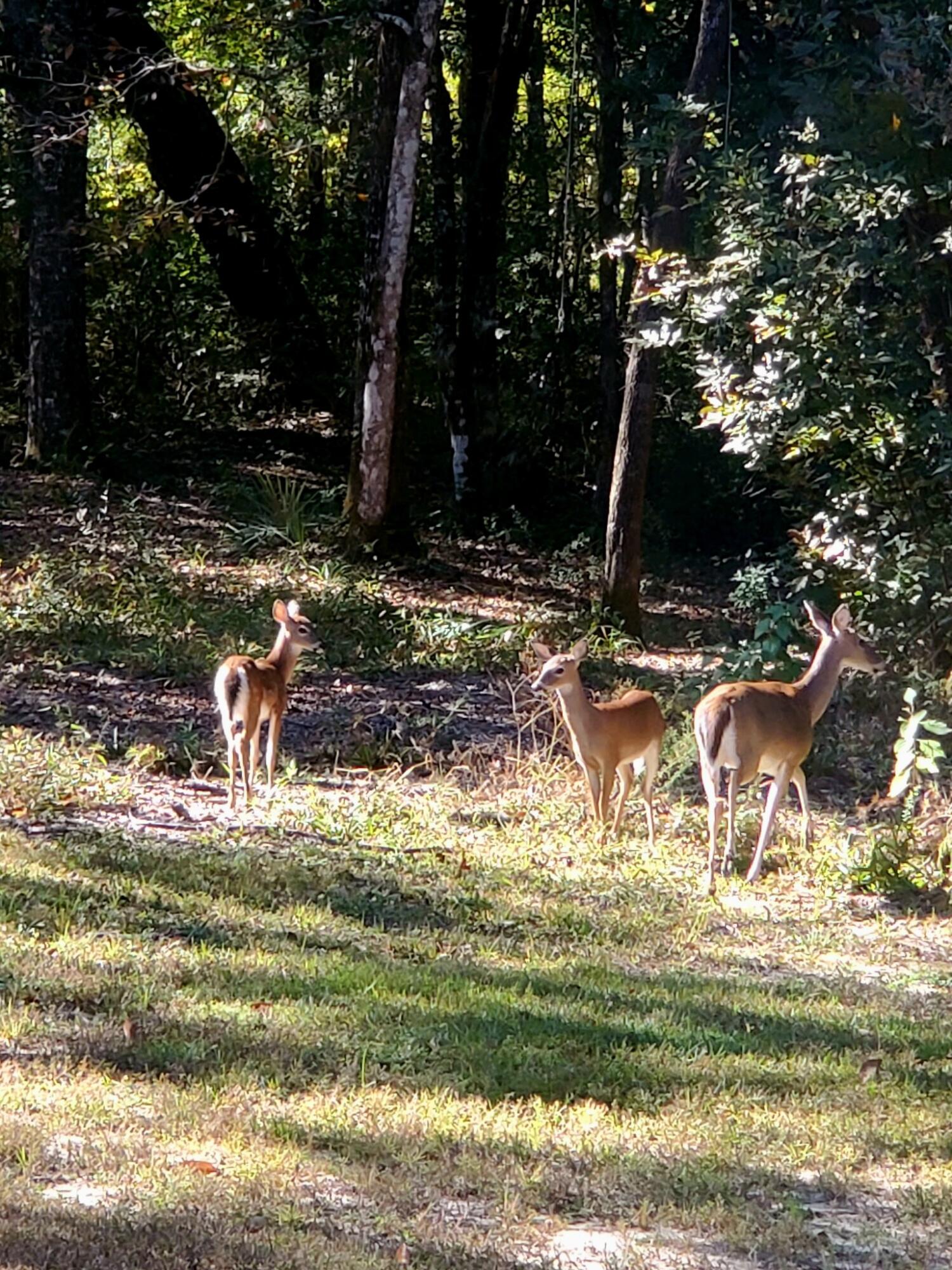 The Oaks Unrecorded - Residential
