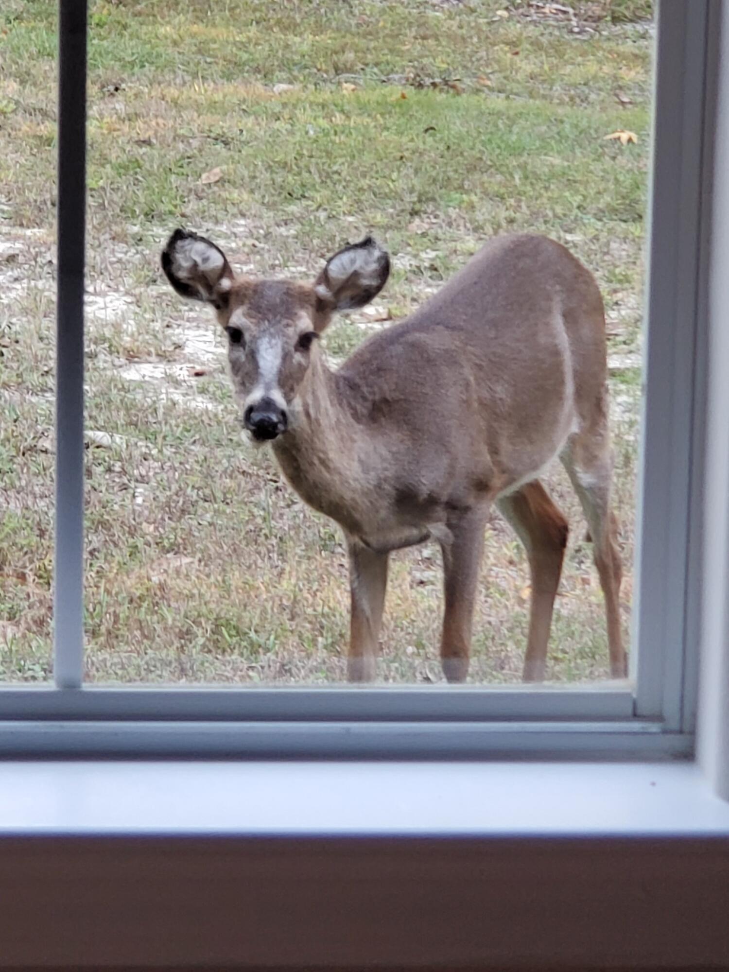 The Oaks Unrecorded - Residential