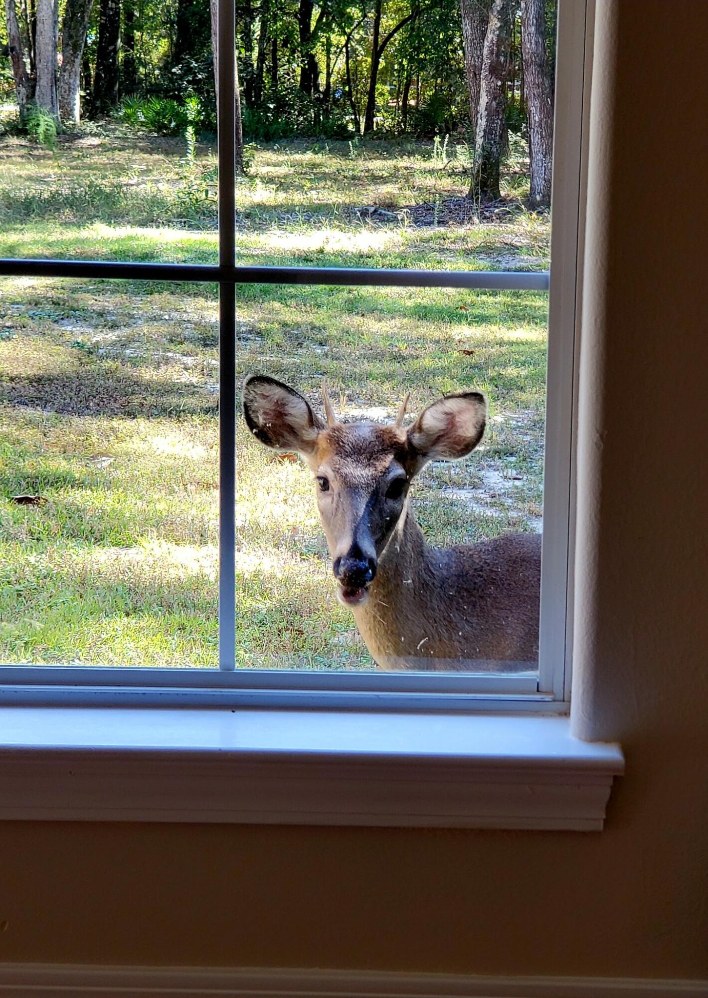 The Oaks Unrecorded - Residential