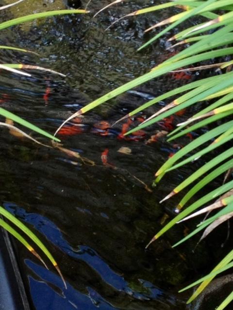 BEAVER CREEK PH 2 - Residential