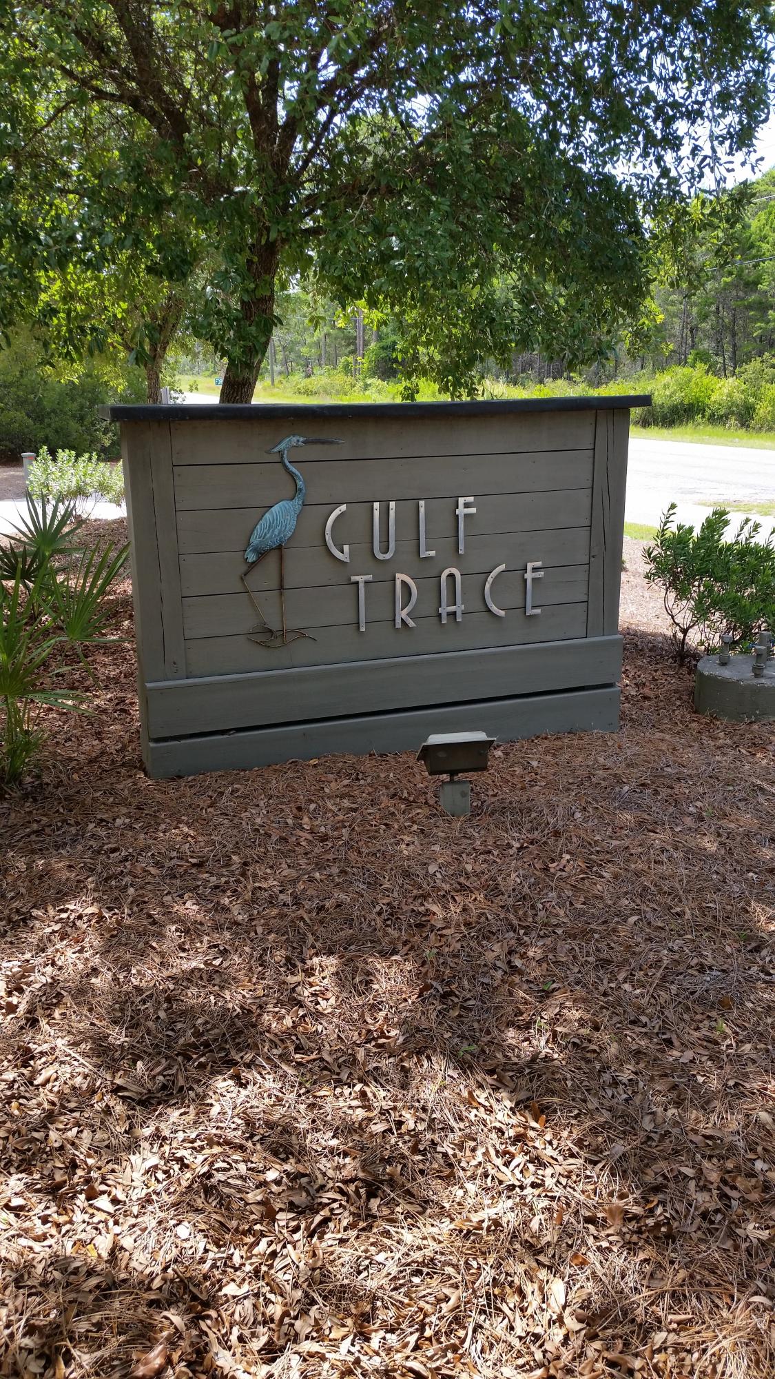 APPROVED BEACH MOUSE Conservation Enhancement APPROVED Plan..!! Gulf Trace is surrounded by state parks to provide the most privacy in a subdivision along 30-A. Nothing can be built to East, West or behind the development because of the parks. It is rare for a gulf front lot to come on the market in this 80 home development. This lot is ready to build that dream vacation home or the year around estate. State parks, coastal dune lake to the east Gulf Trace has it all. Watch the deer wander thru the neighborhood and play on the beach during the fall and winter. Check this gem out today for it might be gone tomorrow. Survey is attached. Completed in July 2015. The lot elevation is 21 feet above sea level. A 6050 sq ft per floor home can be built on this super wide lot.