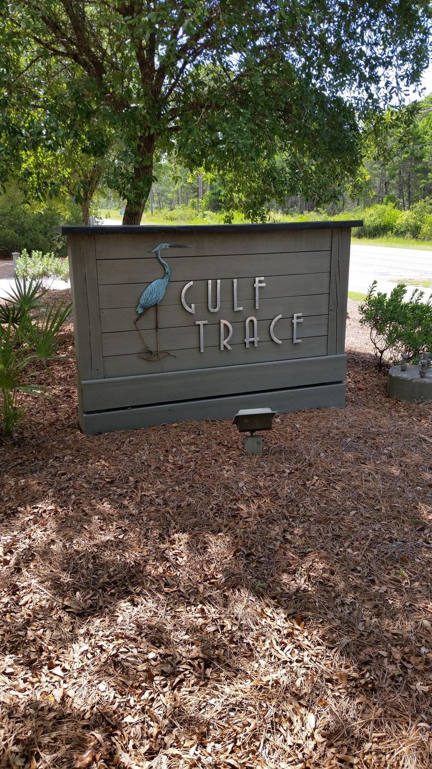 APPROVED BEACH MOUSE Conservation Enhancement APPROVED Plan..!! Gulf Trace is surrounded by state parks to provide the most privacy in a subdivision along 30-A. Nothing can be built to East, West or behind the development because of the parks. It is rare for a gulf front lot to come on the market in this 80 home development. This lot is ready to build that dream vacation home or the year around estate. State parks, coastal dune lake to the east Gulf Trace has it all. Watch the deer wander thru the neighborhood and play on the beach during the fall and winter. Check this gem out today for it might be gone tomorrow. Survey is attached. Completed in July 2015. The lot elevation is 21 feet above sea level. A 6050 sq ft per floor home can be built on this super wide lot.