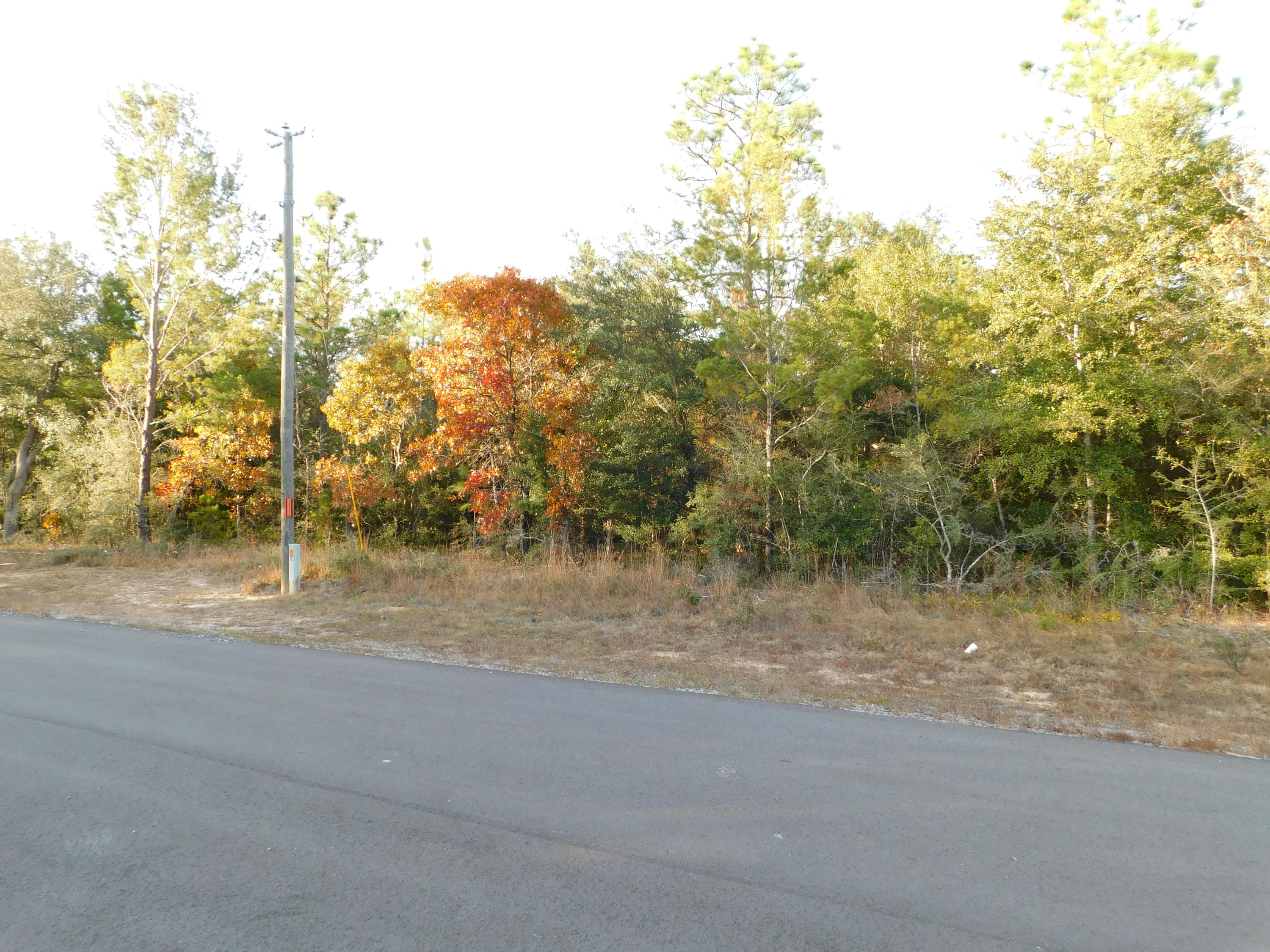 METES & BOUNDS - Land