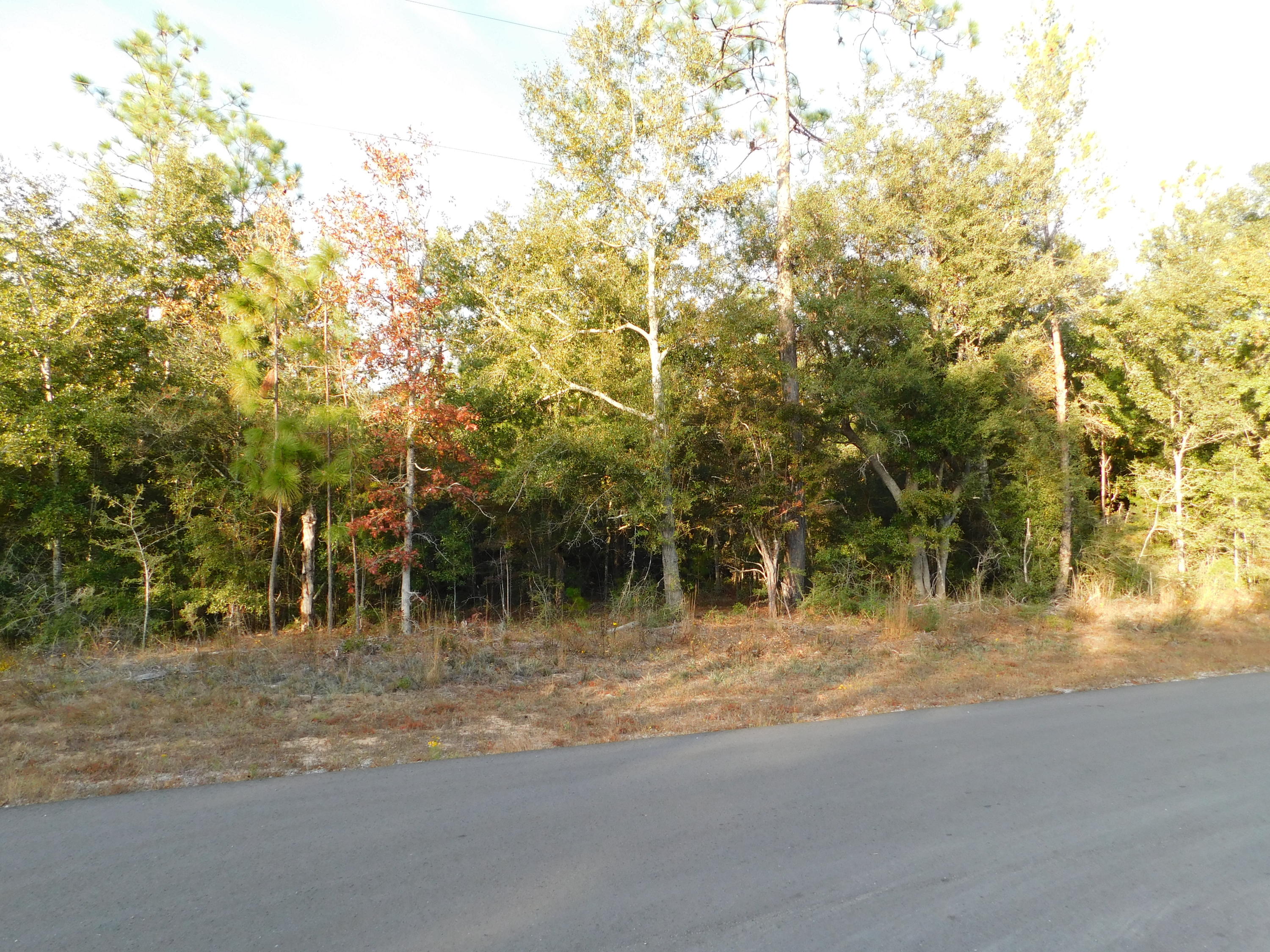 METES & BOUNDS - Land