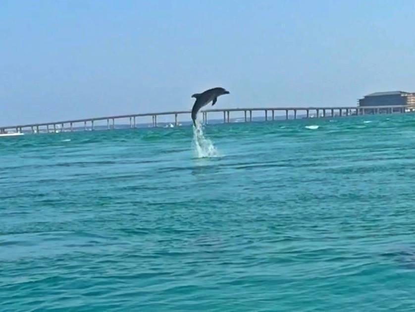 DESTINY BY THE SEA - Residential