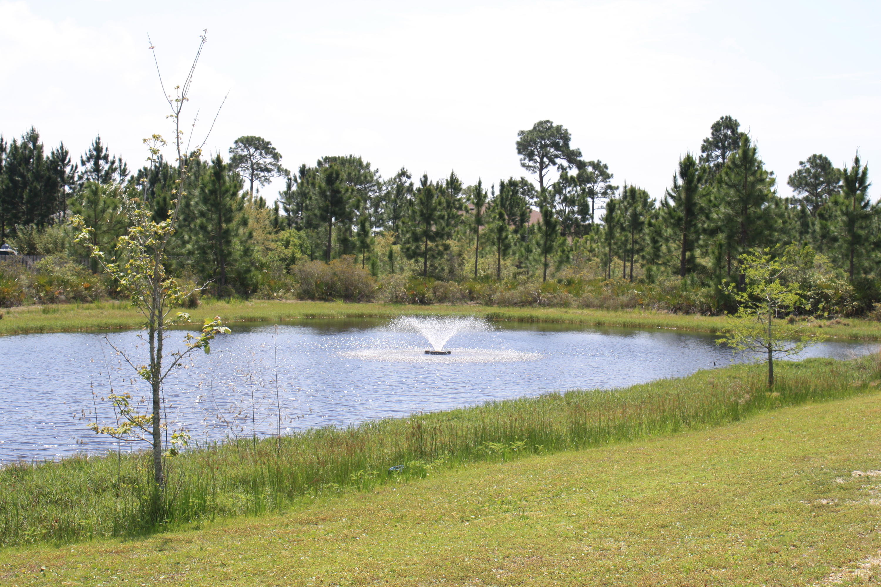 DRIFTWOOD ESTATES - Residential