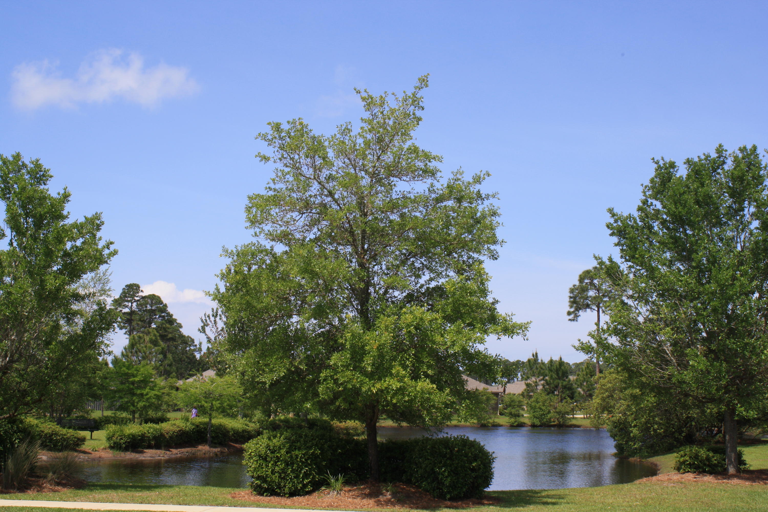 DRIFTWOOD ESTATES - Residential