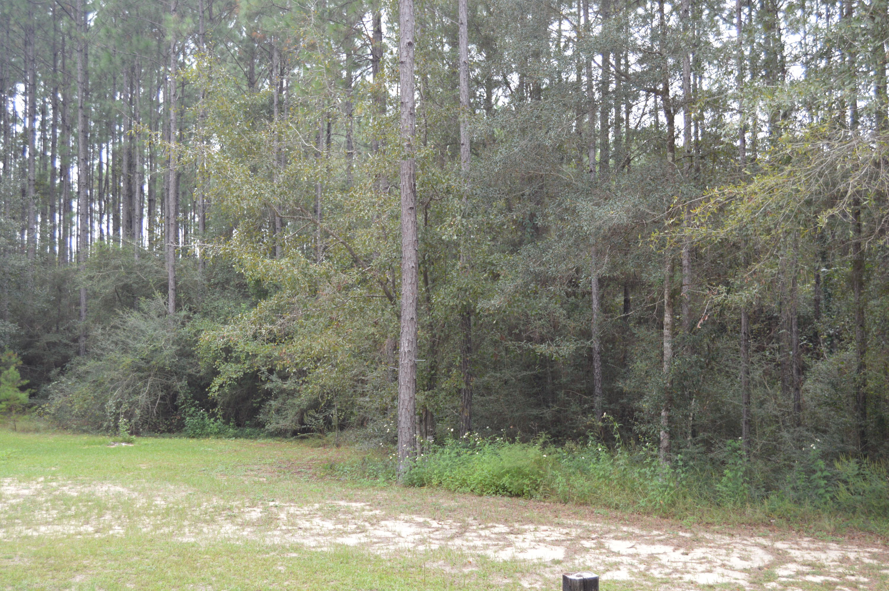 WHISPERING PINEWOODS UNREC - Residential