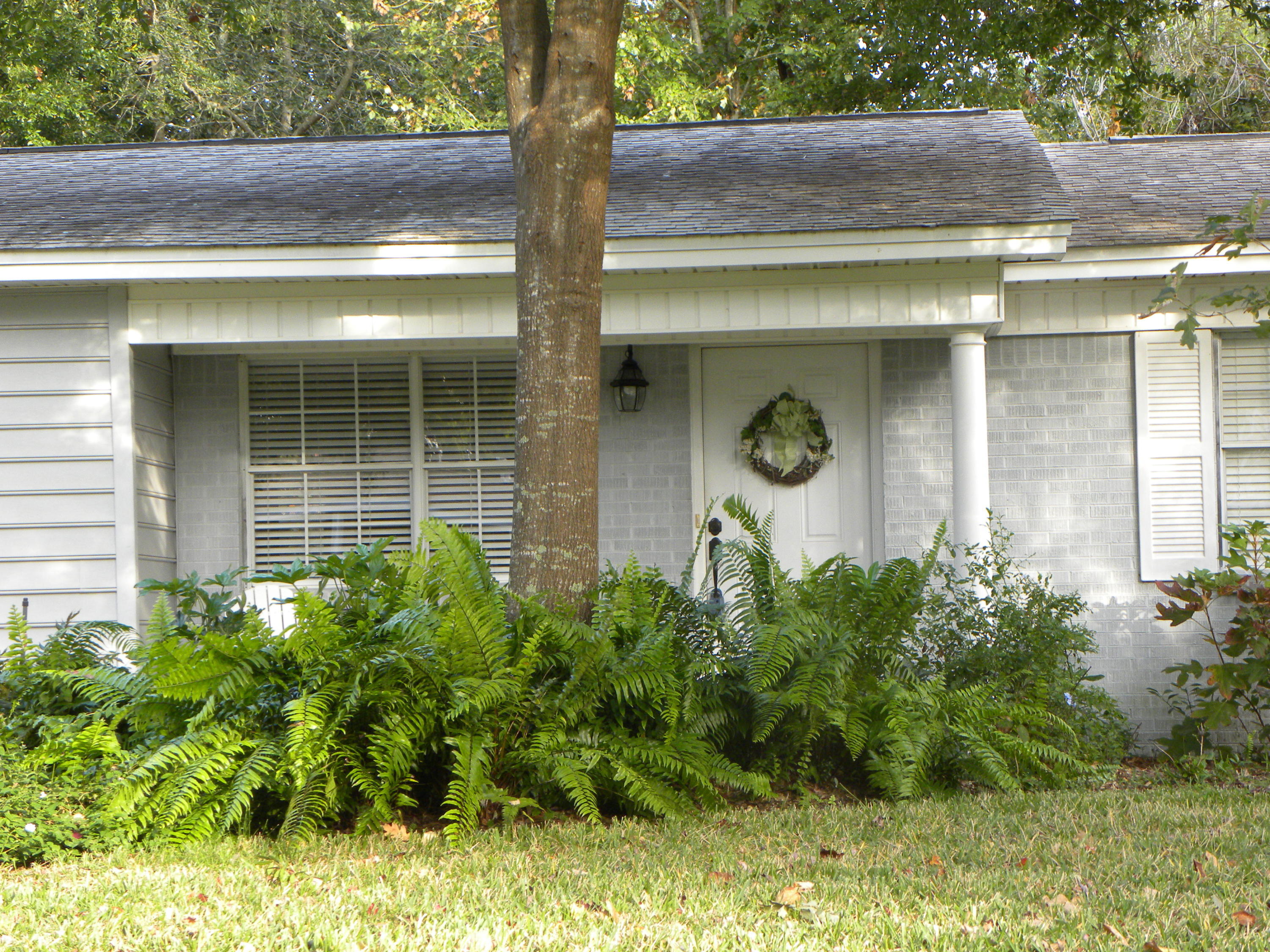 BAYOU WOODS - Residential