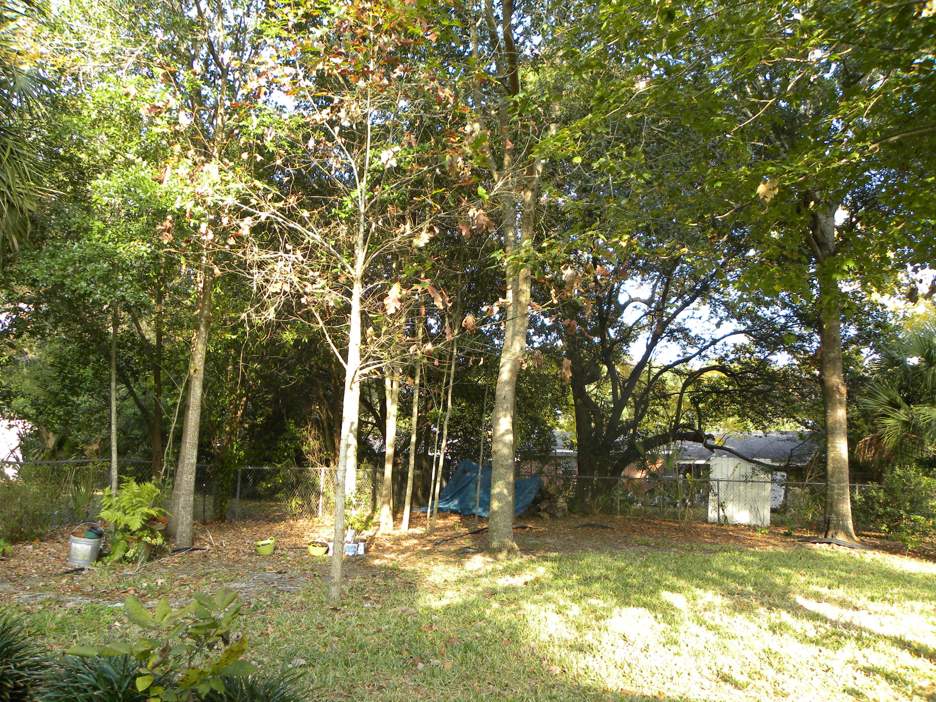 BAYOU WOODS - Residential