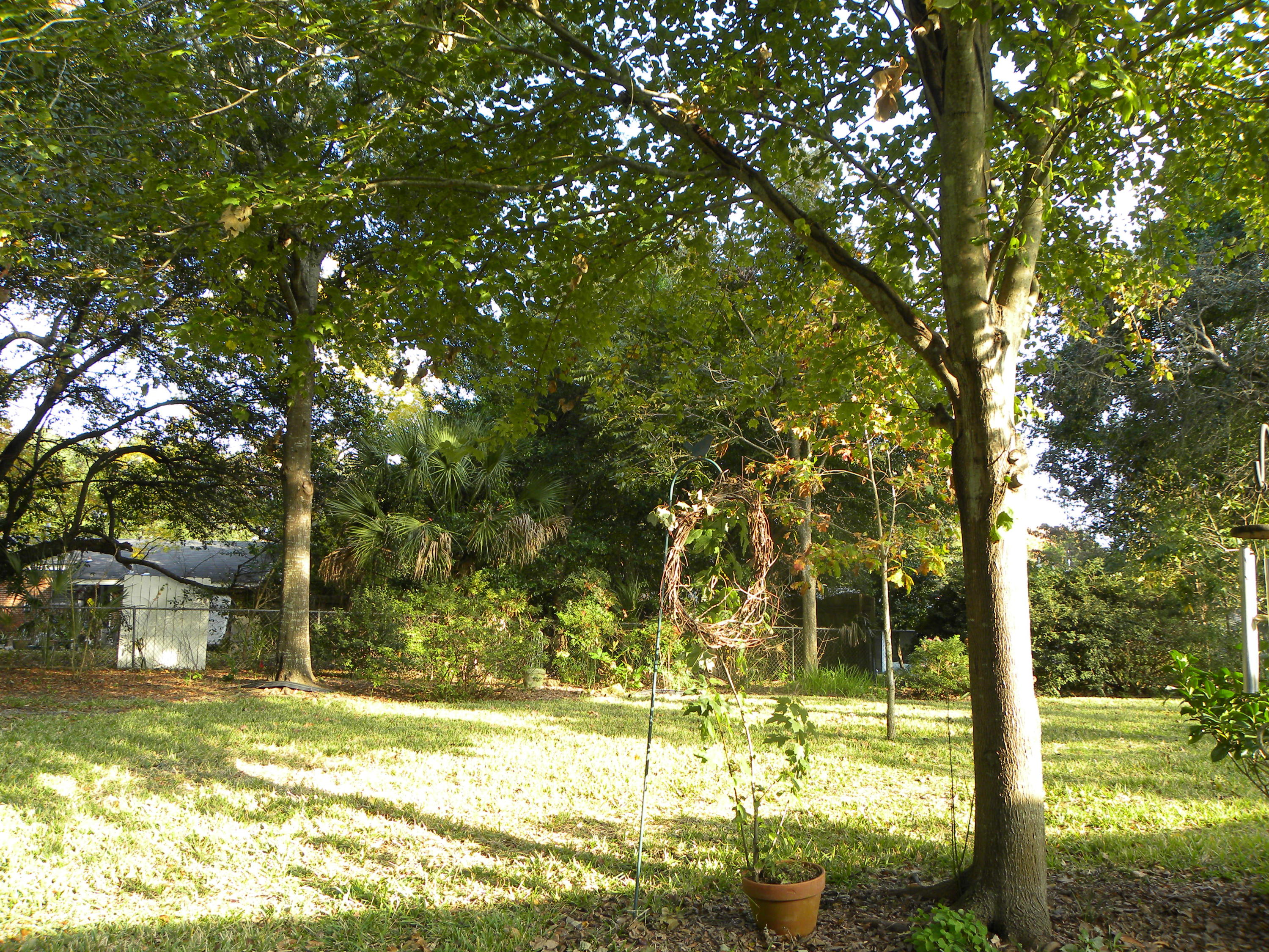 BAYOU WOODS - Residential