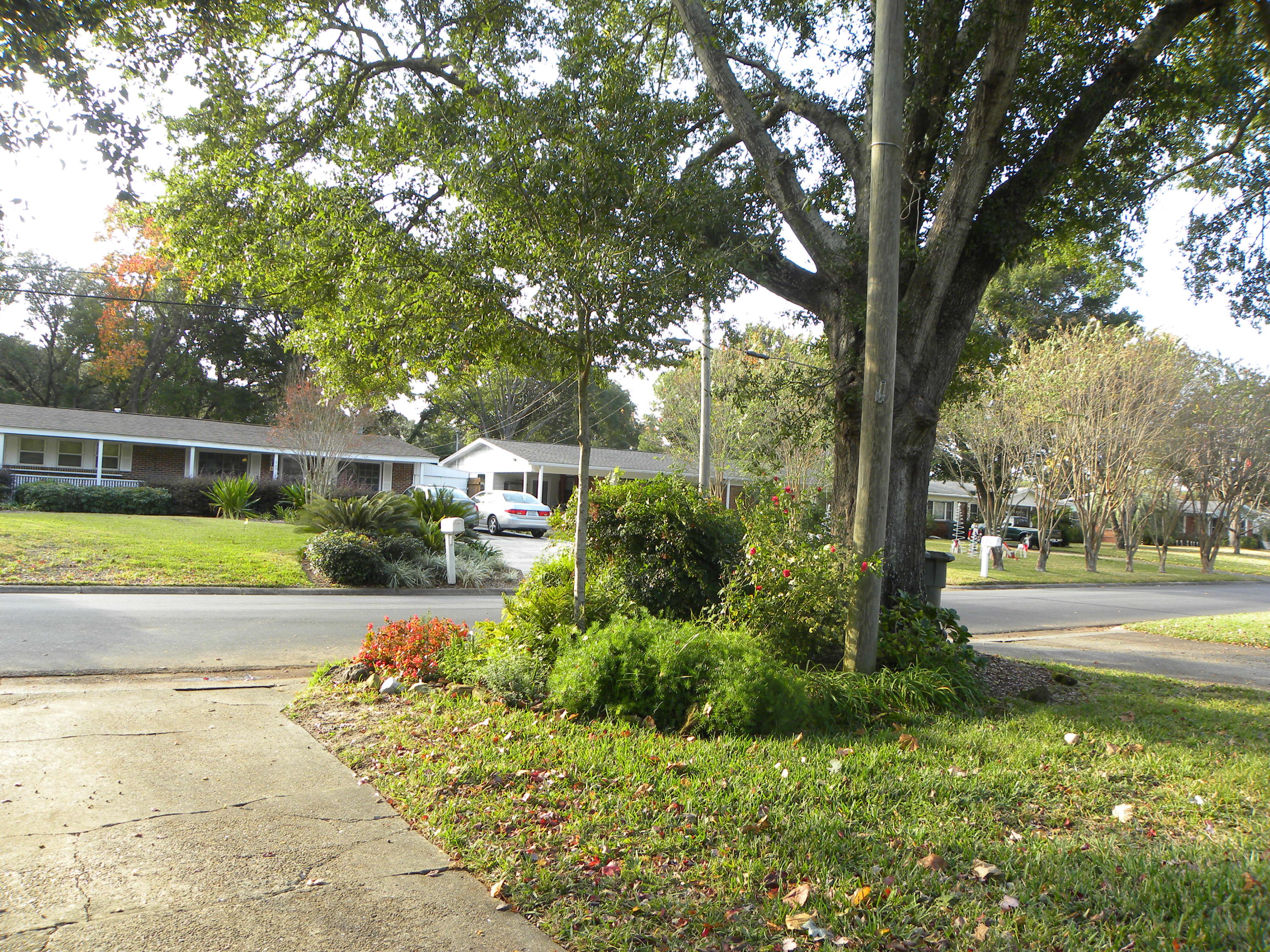 BAYOU WOODS - Residential