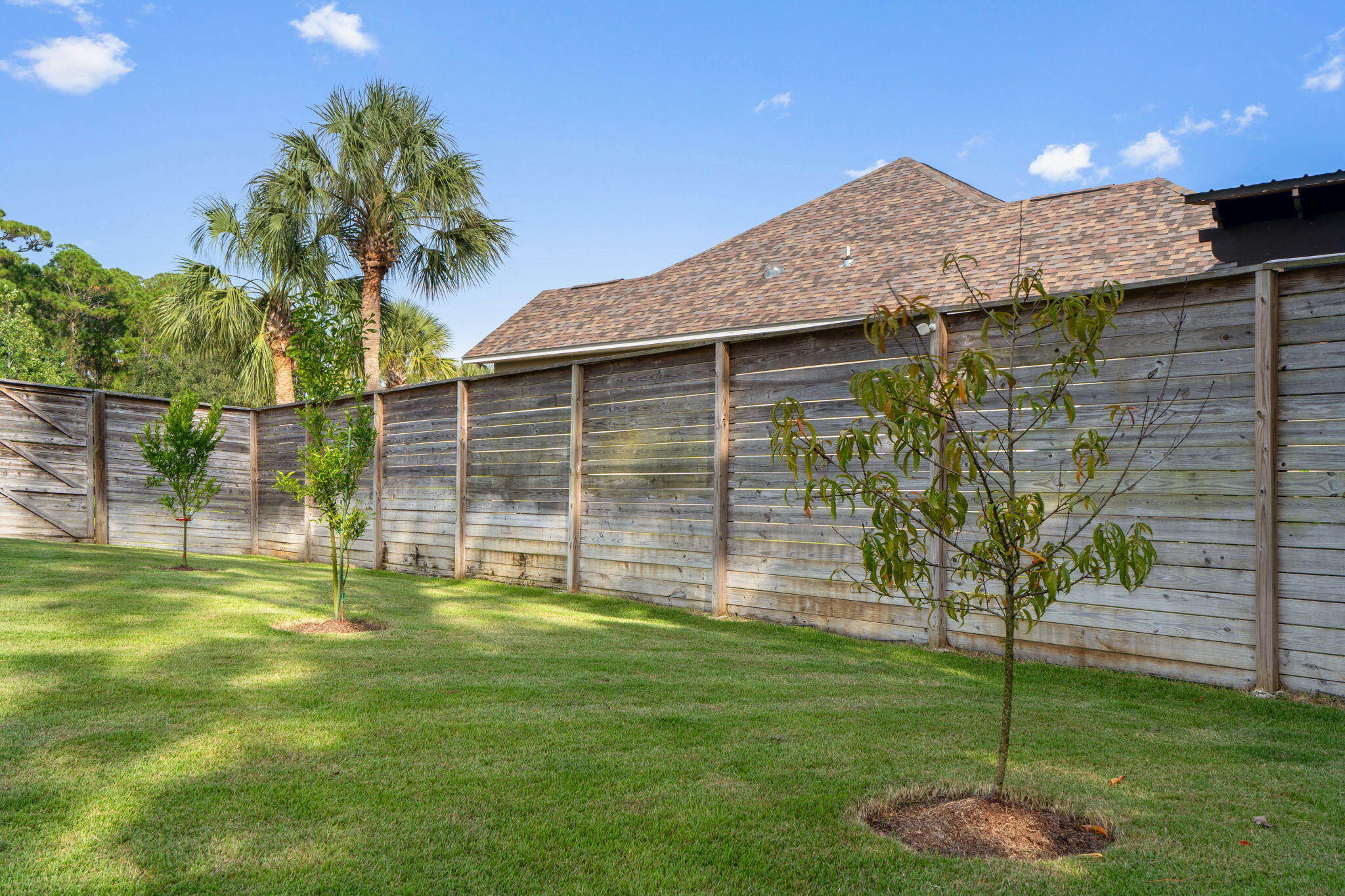 BISCAYNE POINTE - Residential
