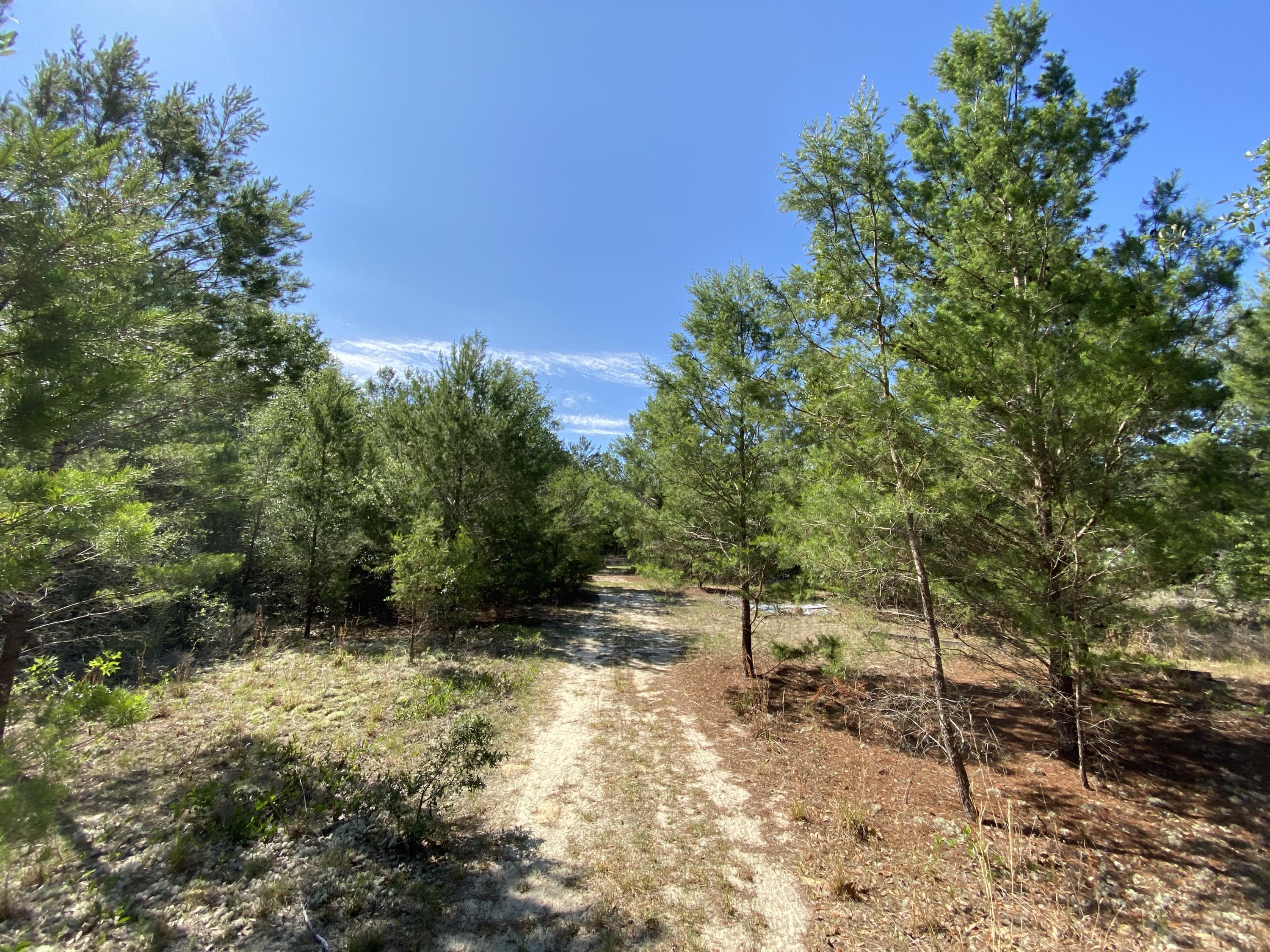 ROCK HILL ROAD UNREC - Land