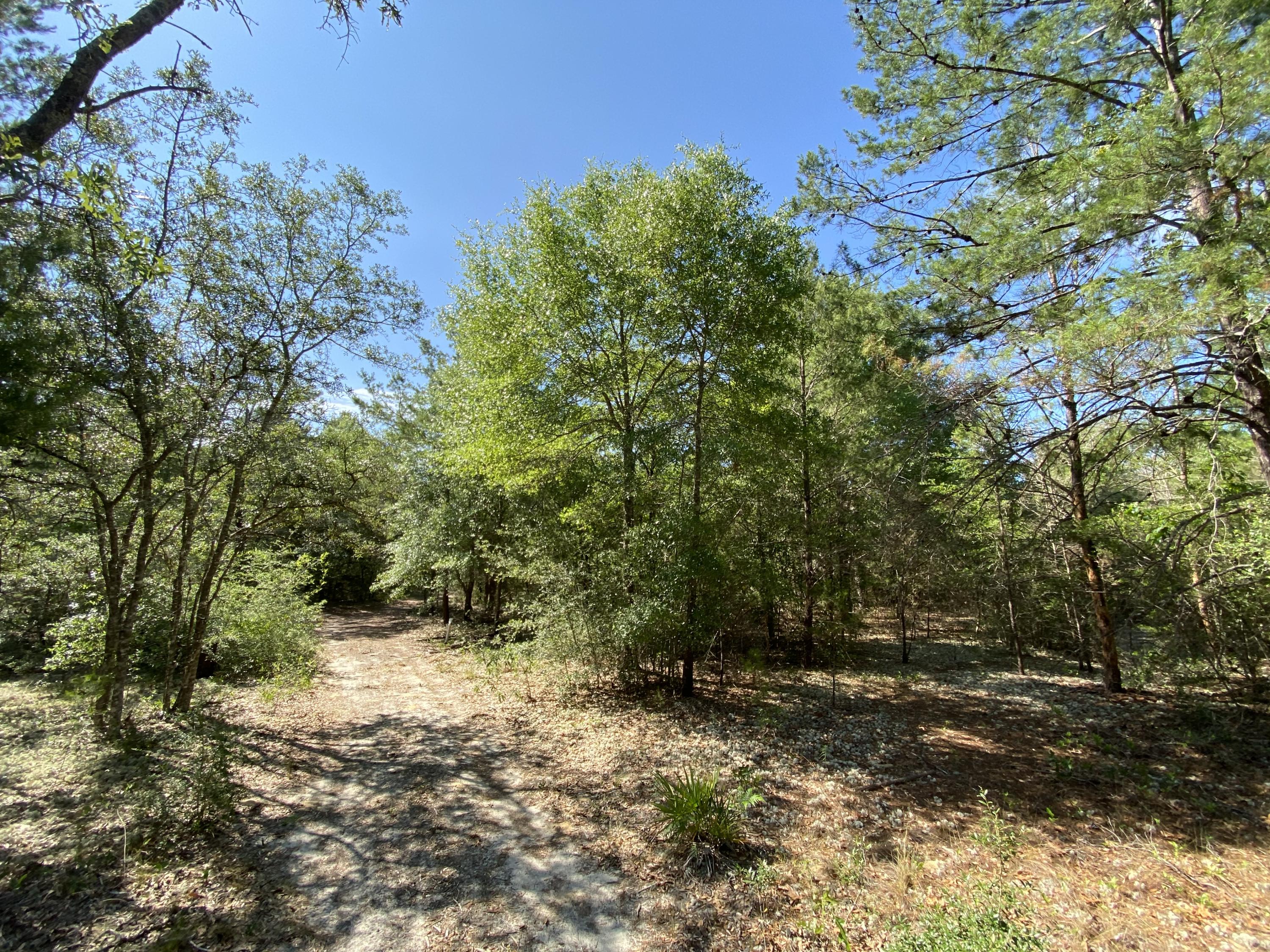 ROCK HILL ROAD UNREC - Land