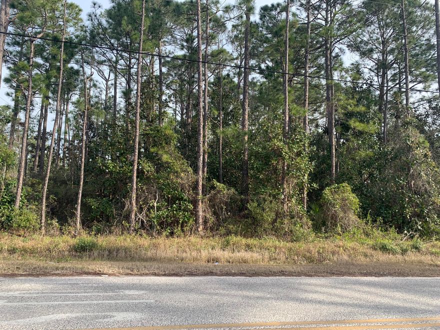This .7 acre lot is at the NE corner of Highway 393 and Nursery Road.