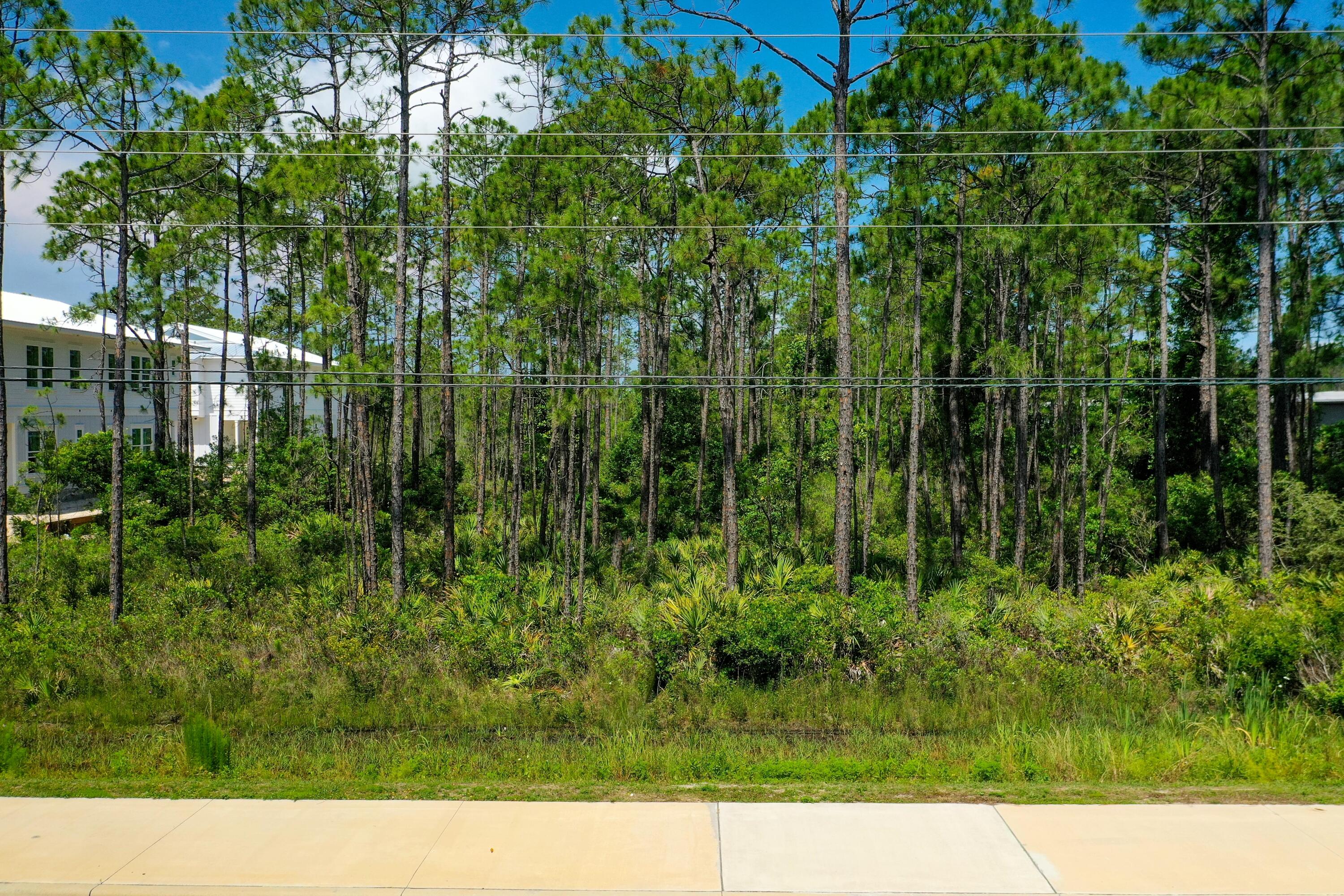 Starfish Project - Land