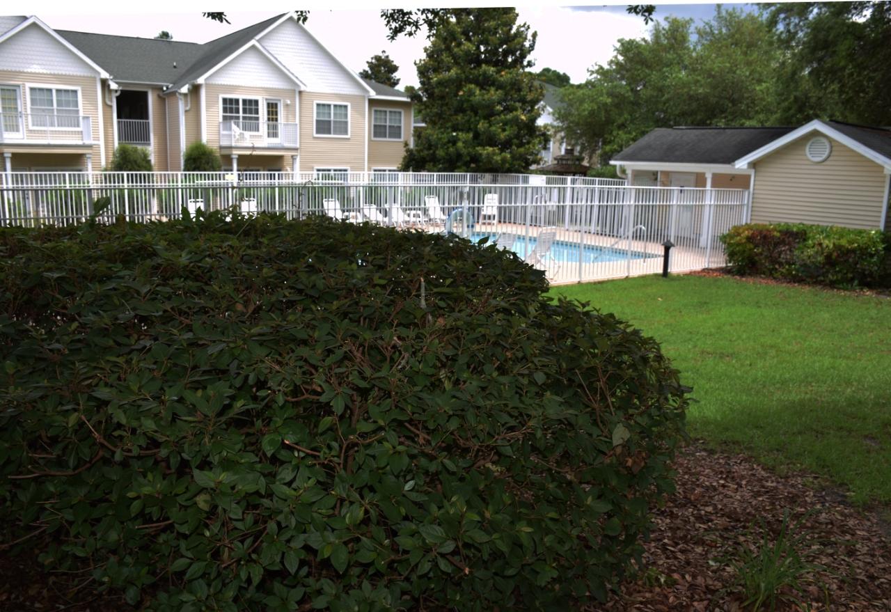 THE OAKS AT NICEVILLE - Residential