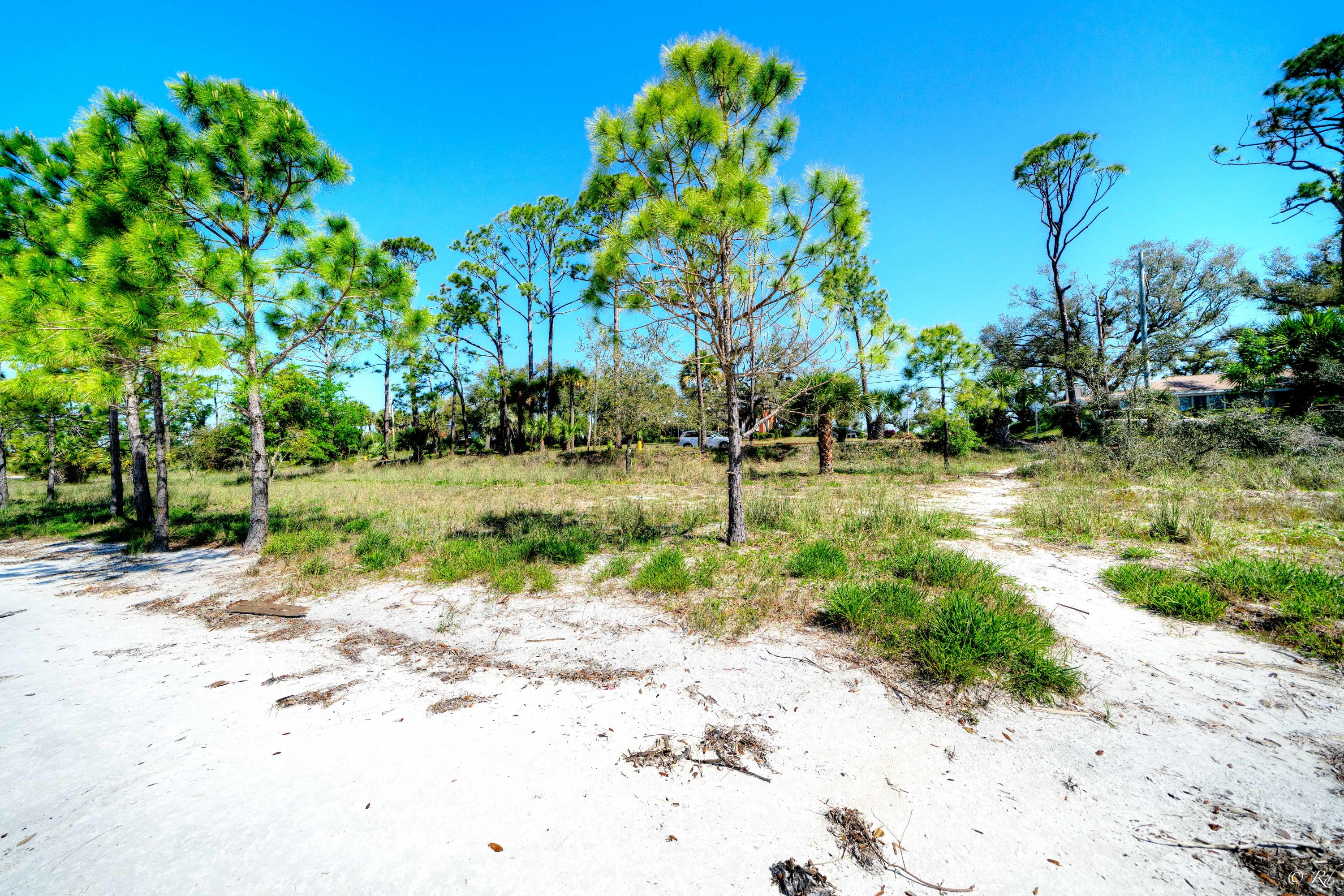 OLD TOWN PLAT - Residential