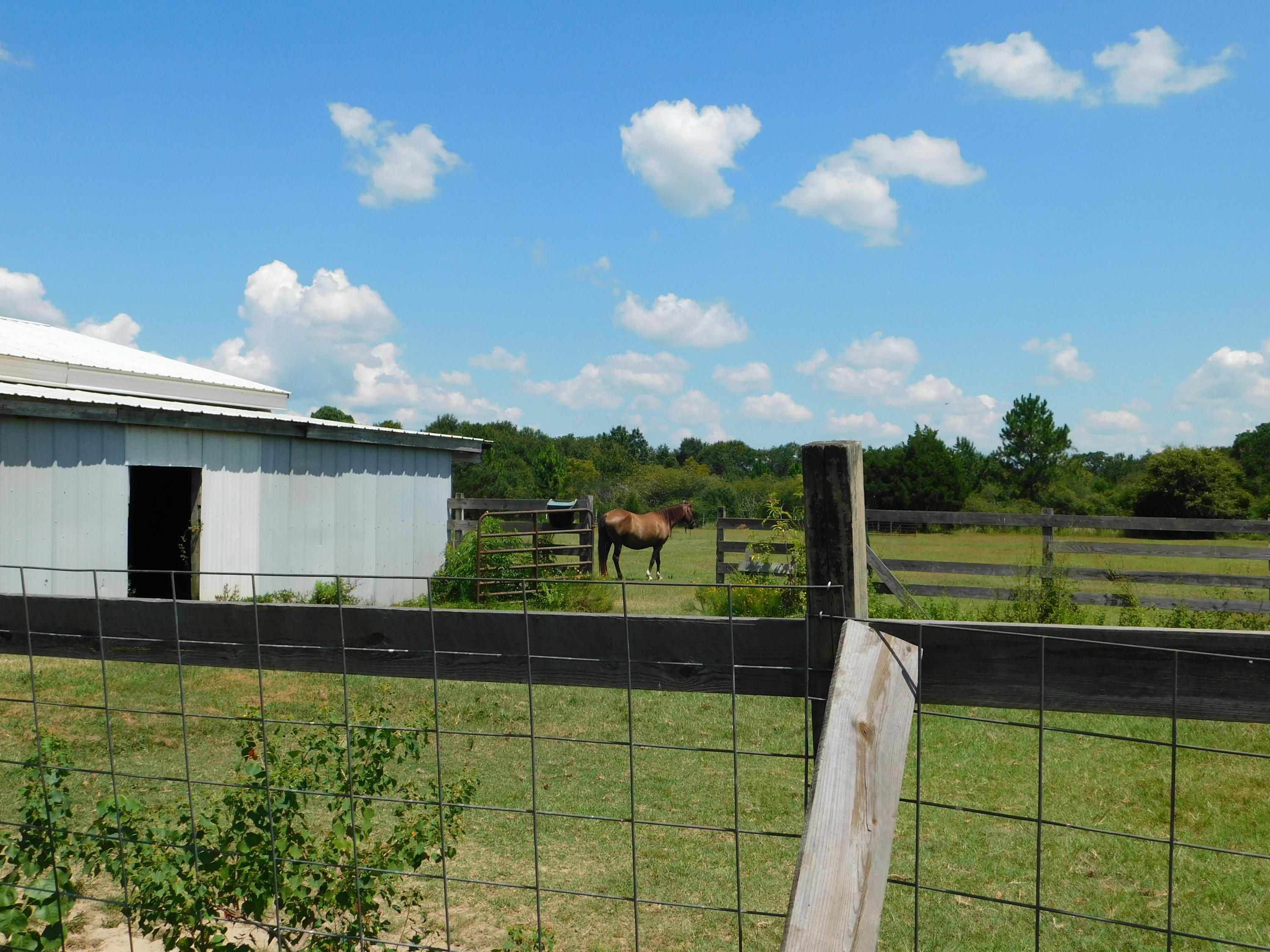 WALKER ESTATES - Residential